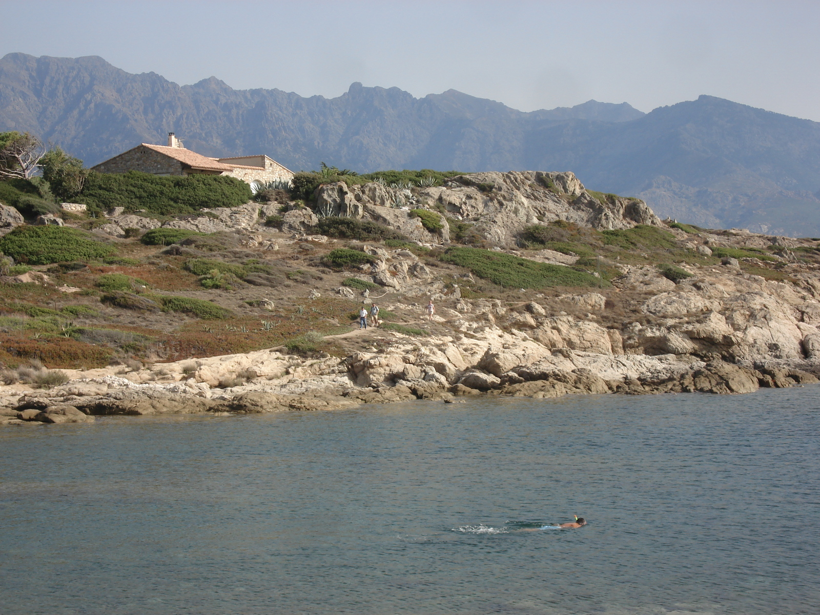 รูปถ่าย ฝรั่งเศส(France) คอร์สิคา(Corsica) ลูมิโอ่(Lumio) 2006-09 3