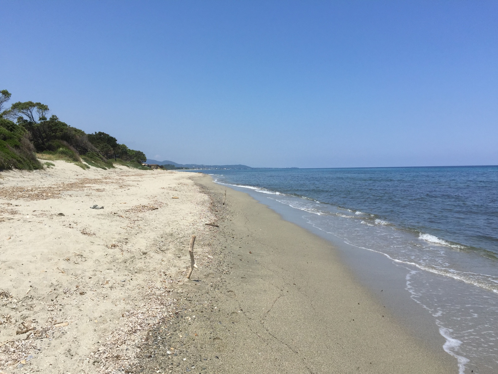 รูปถ่าย ฝรั่งเศส(France) คอร์สิคา(Corsica) 2015-05 2