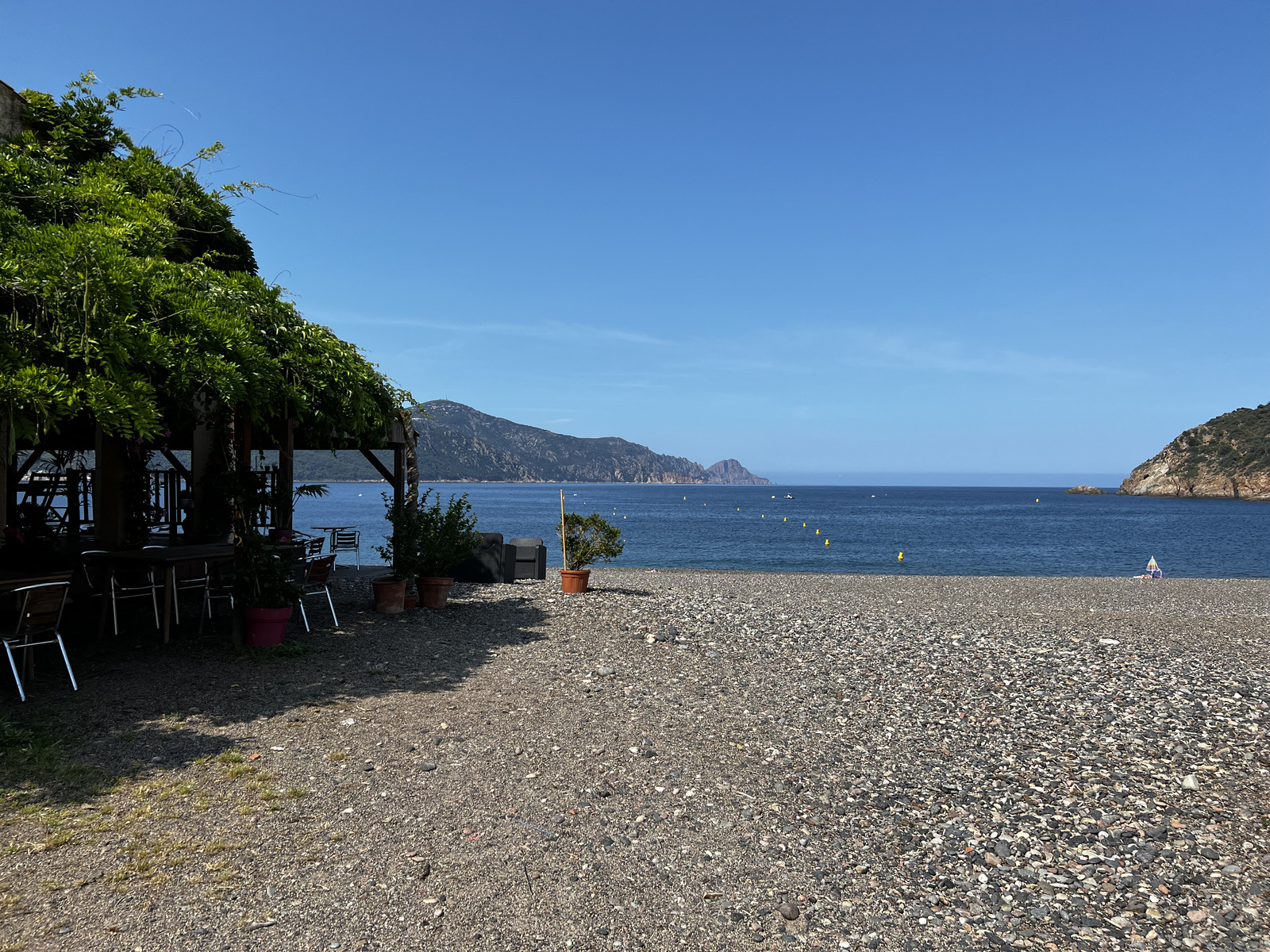 รูปถ่าย ฝรั่งเศส(France) คอร์สิคา(Corsica) หาดบุสซาลยา(Bussaglia Beach) 2023-06 2