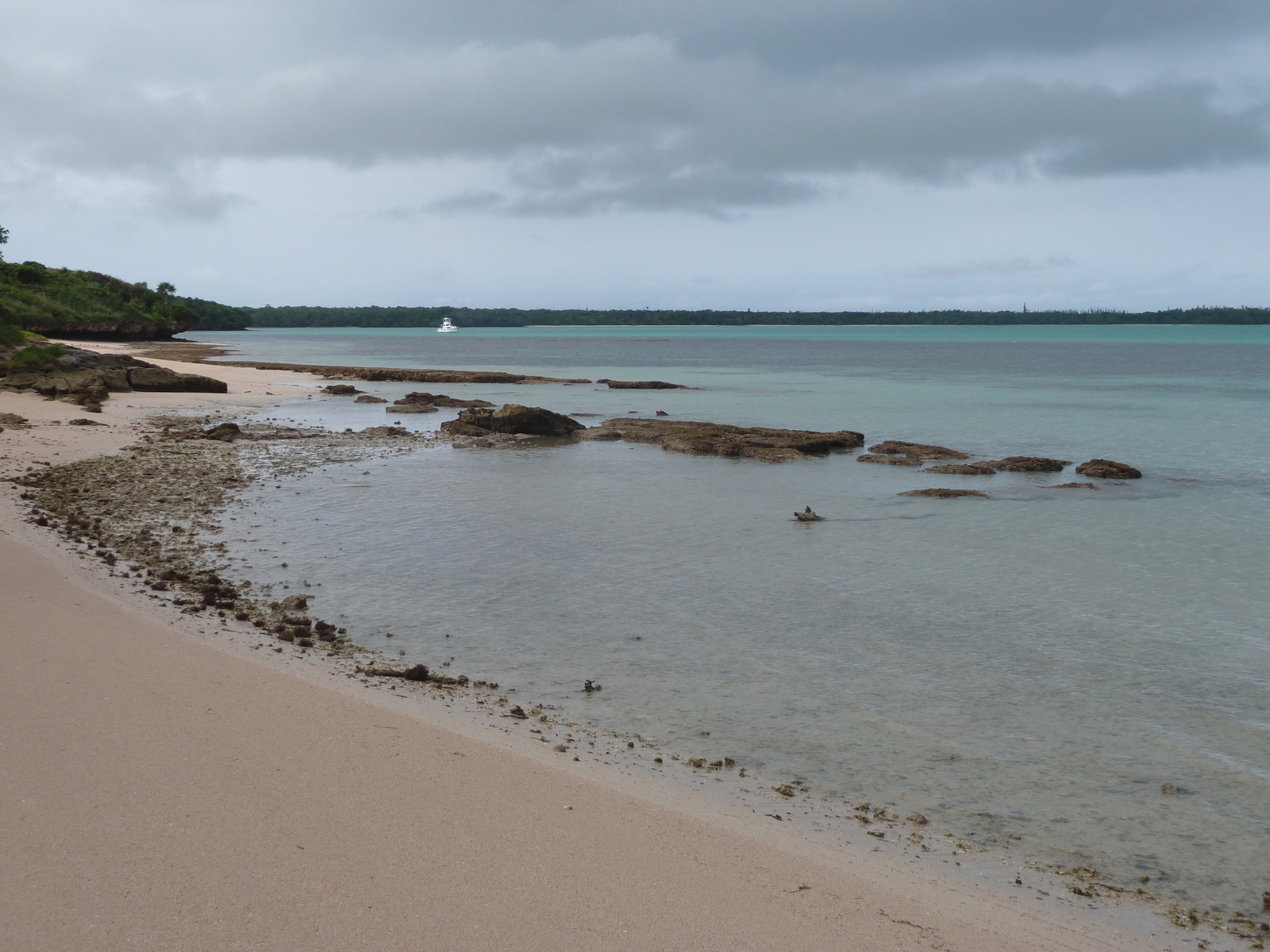 รูปถ่าย นิวแคลิโดเนีย(New Caledonia) เกาะต้นสน(Ile des pins) 2010-05 16