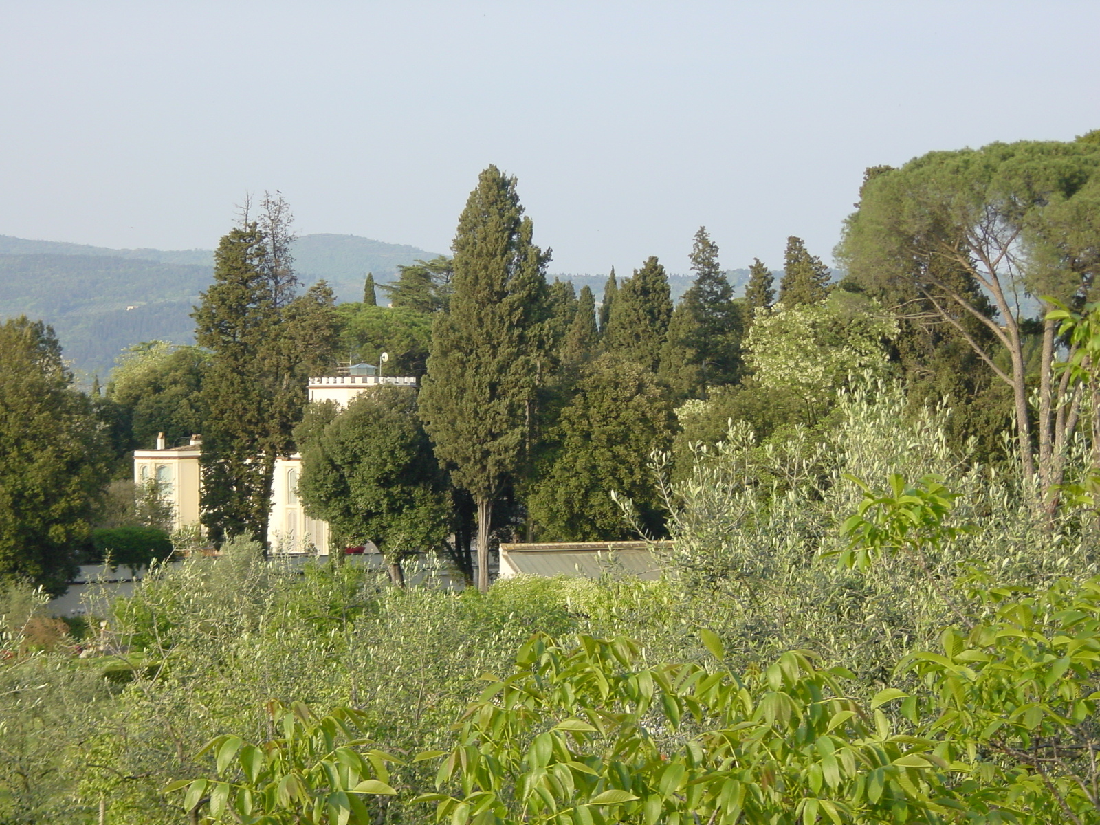 รูปถ่าย อิตาลี(Italy) ฟลอเรนซ์(Florence) 2002-04 163