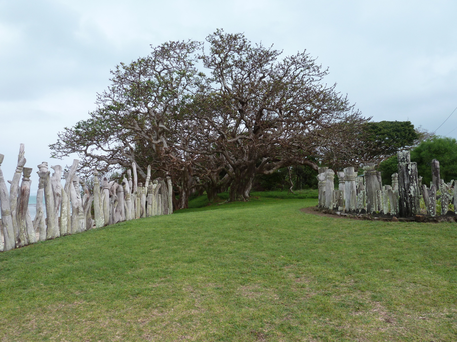 รูปถ่าย นิวแคลิโดเนีย(New Caledonia) เกาะต้นสน(Ile des pins) 2010-05 26