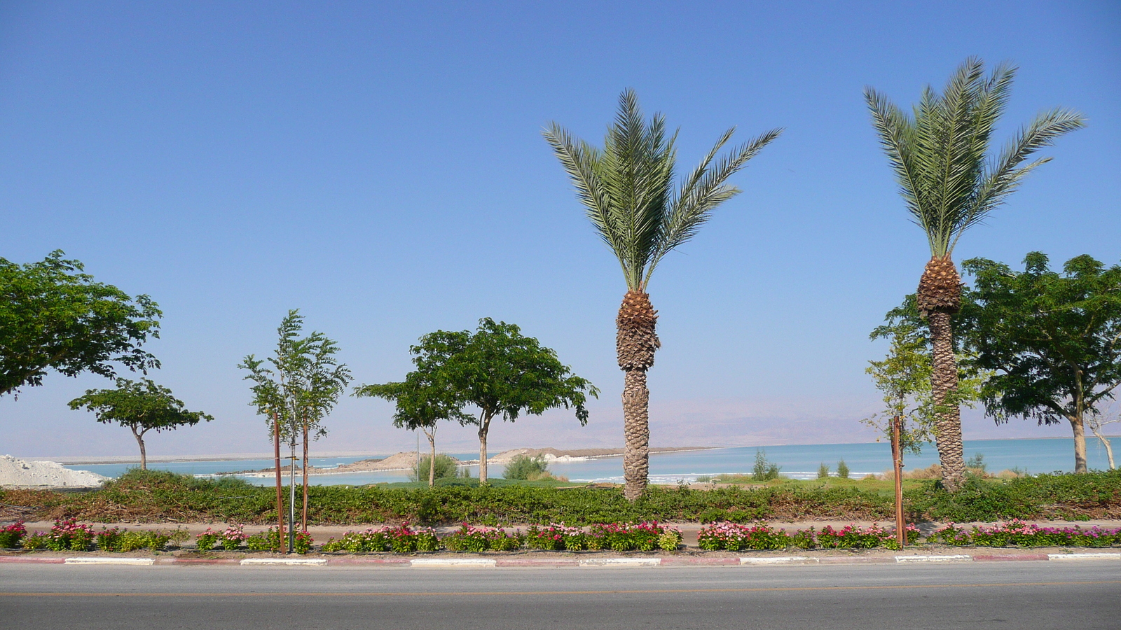 รูปถ่าย อิสราเอล(Israel) อึนโบเกก(Boqeq) 2007-06 0