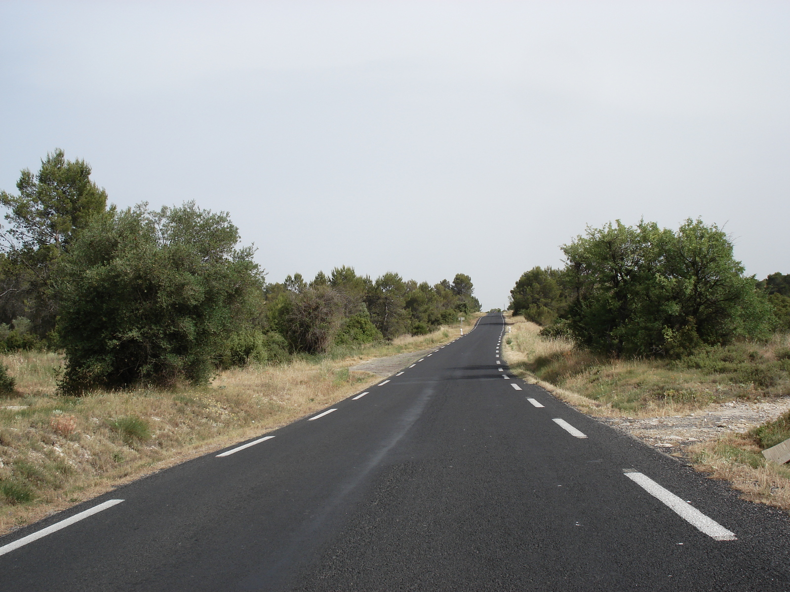 รูปถ่าย ฝรั่งเศส(France) โซเมียร์(Sommieres) 2006-06 87