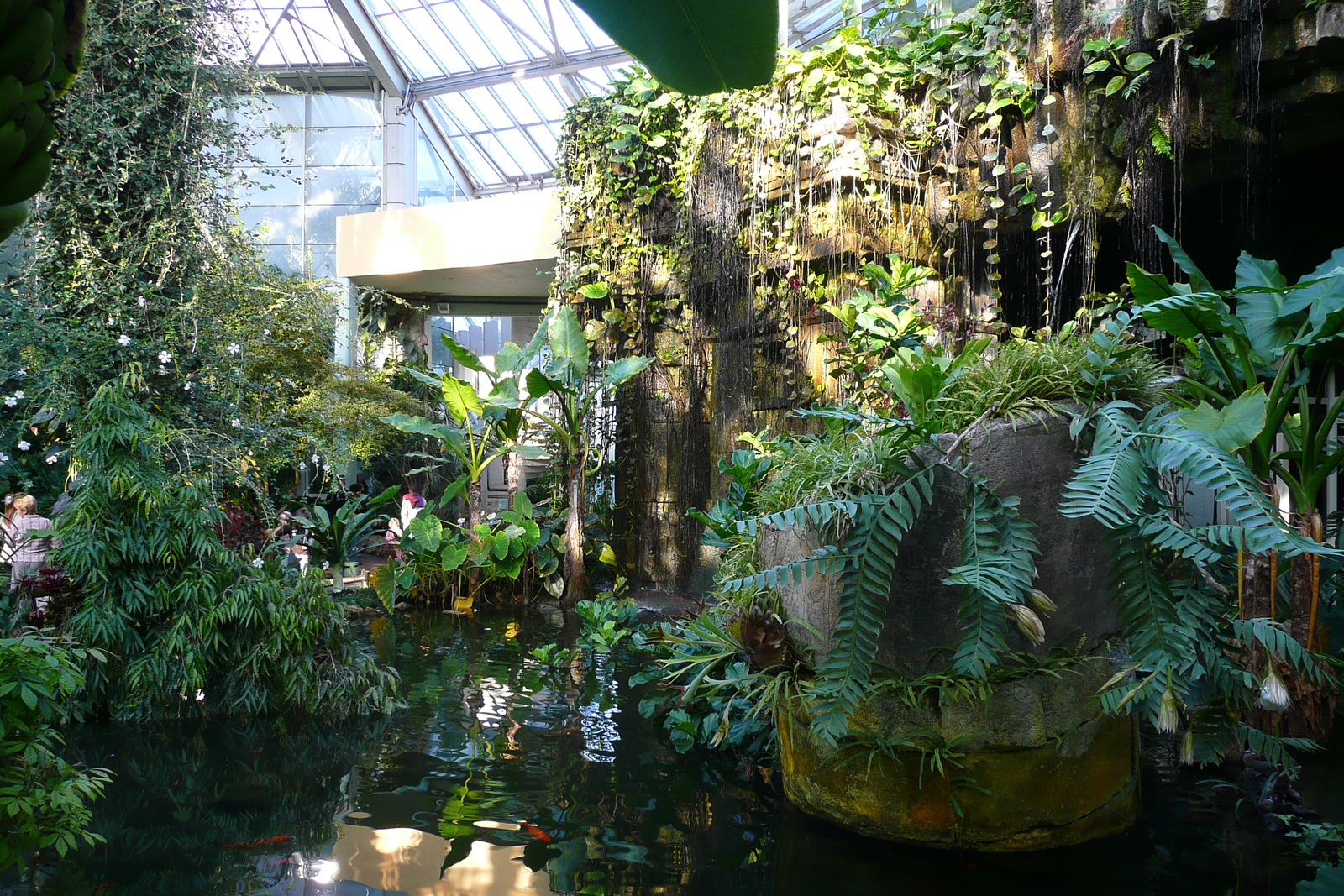รูปถ่าย ฝรั่งเศส(France) นีส(Nice) สวนฟีนิกซ์(Phoenix Parc) 2007-10 27
