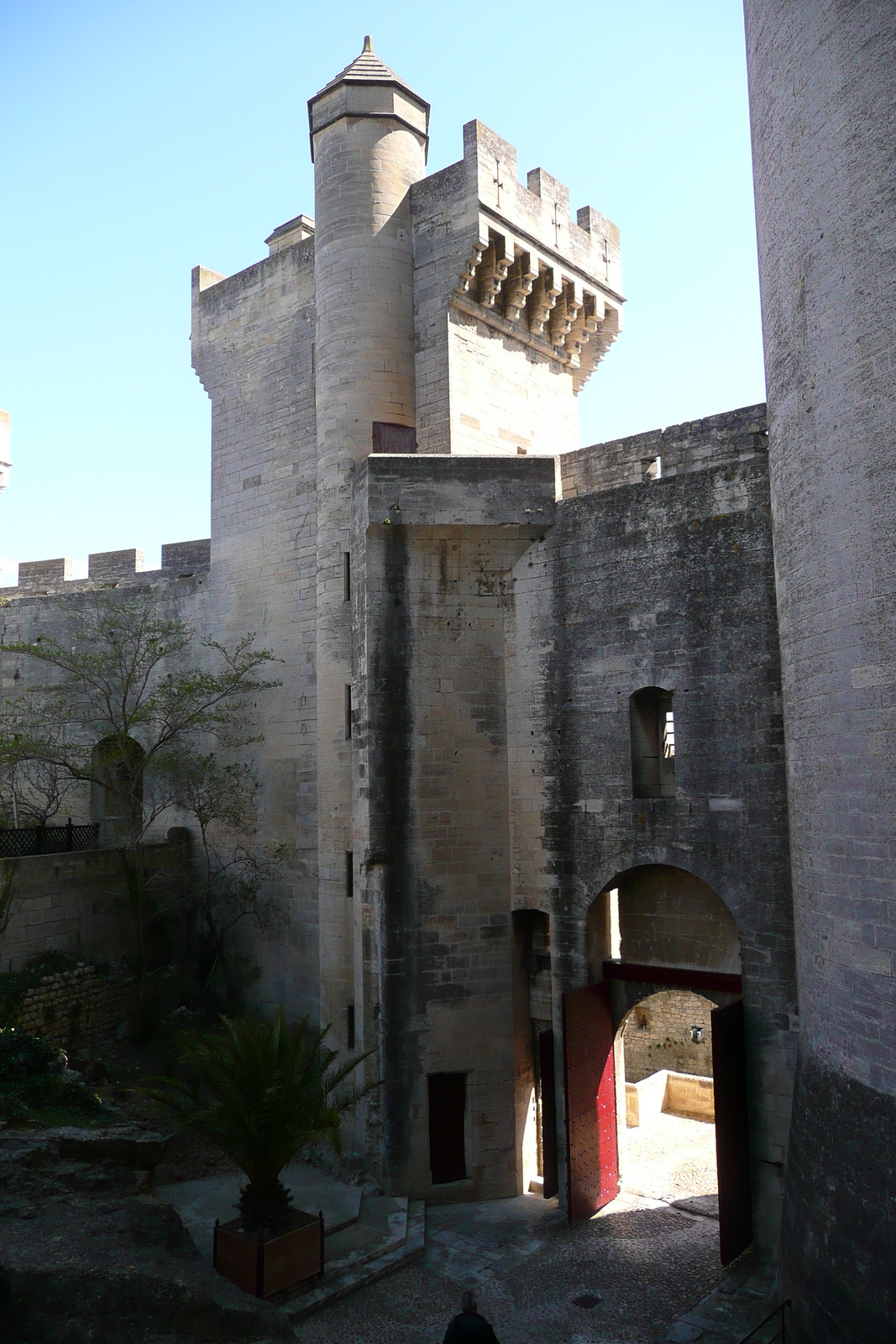 รูปถ่าย ฝรั่งเศส(France) ตาราสกง(Tarascon) ปราสาทตาราสกง(Tarascon Castle) 2008-04 17