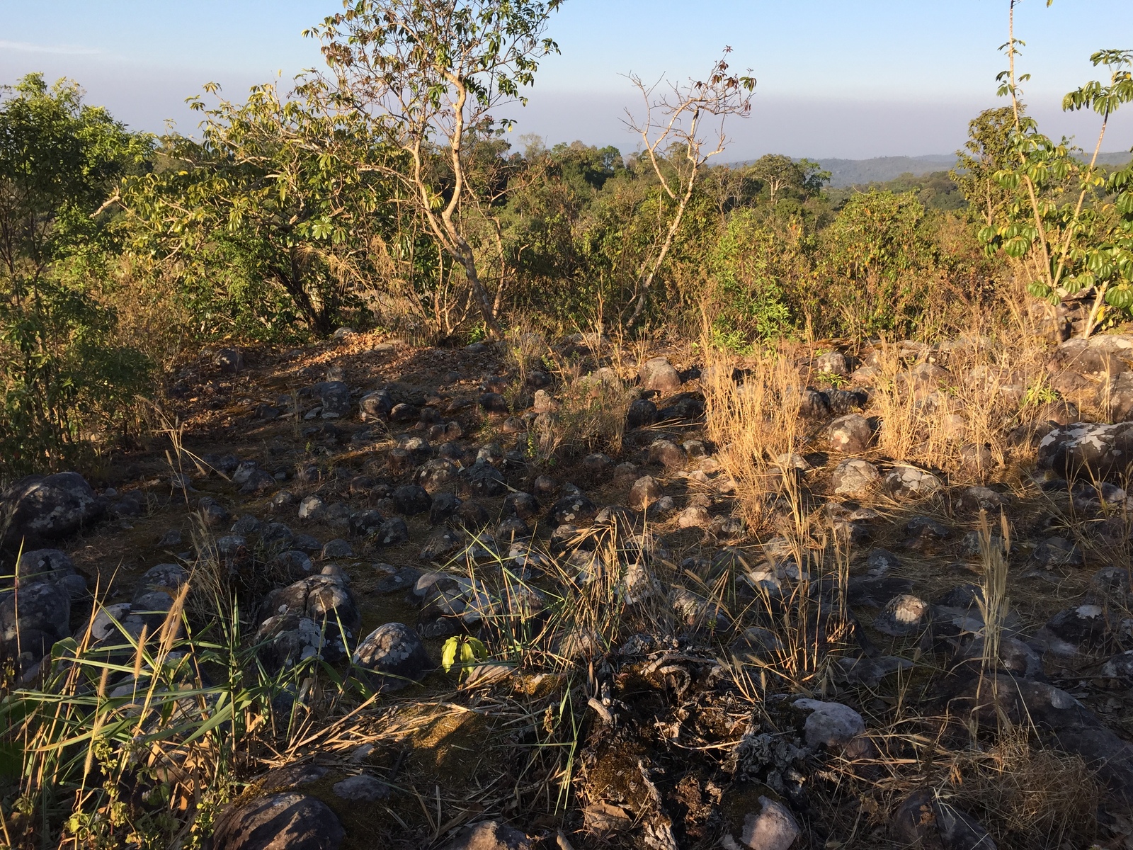 รูปถ่าย ไทย(Thailand) อุทยานแห่งชาติภูหินร่องกล้า(Phu Hin Rong Kla National Park) 2014-12 40