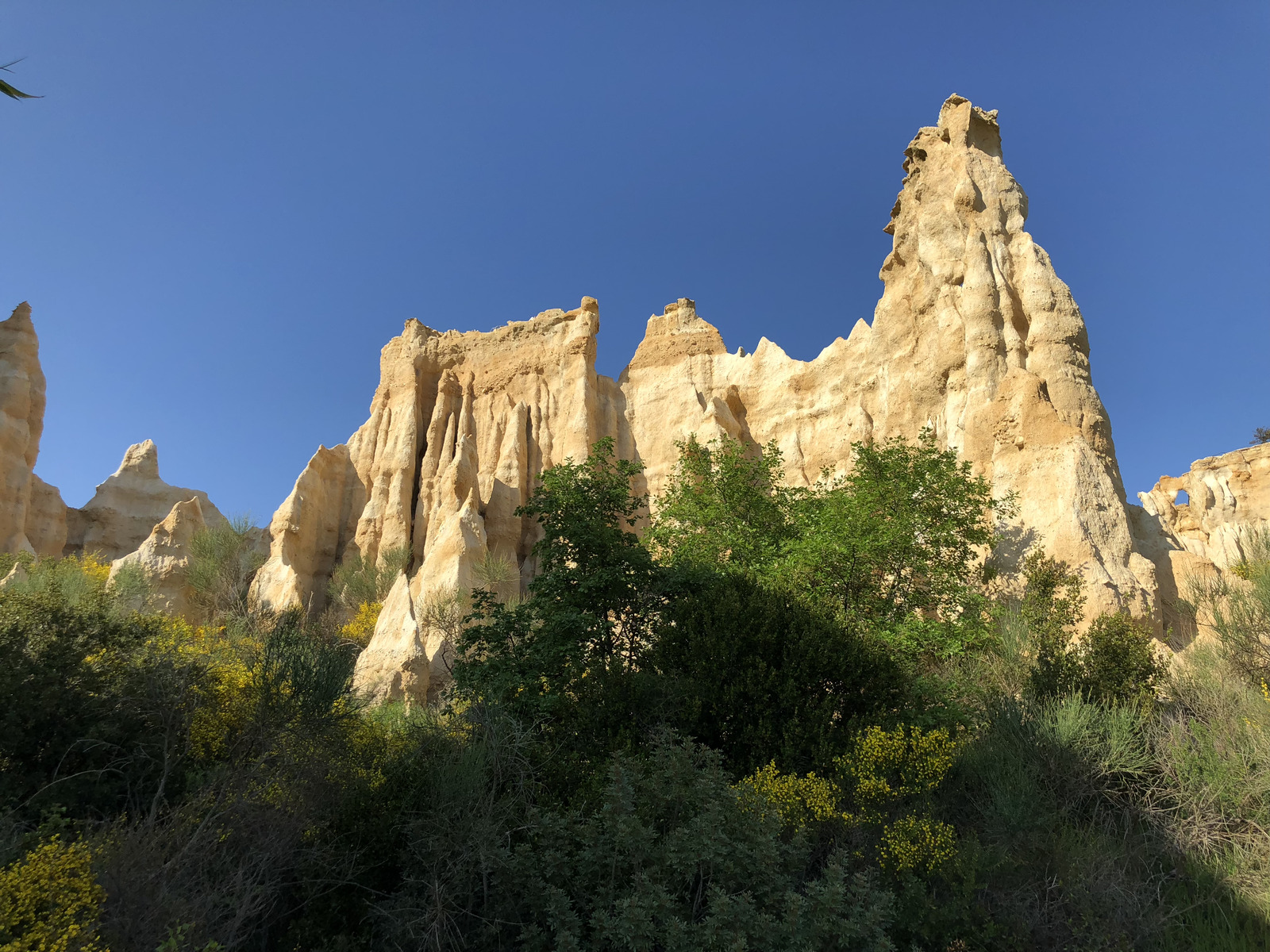 รูปถ่าย ฝรั่งเศส(France) เสาหินออร์กดีล-ซูร์-แต็ต(Orgues d'Ille Sur Tet) 2018-04 59