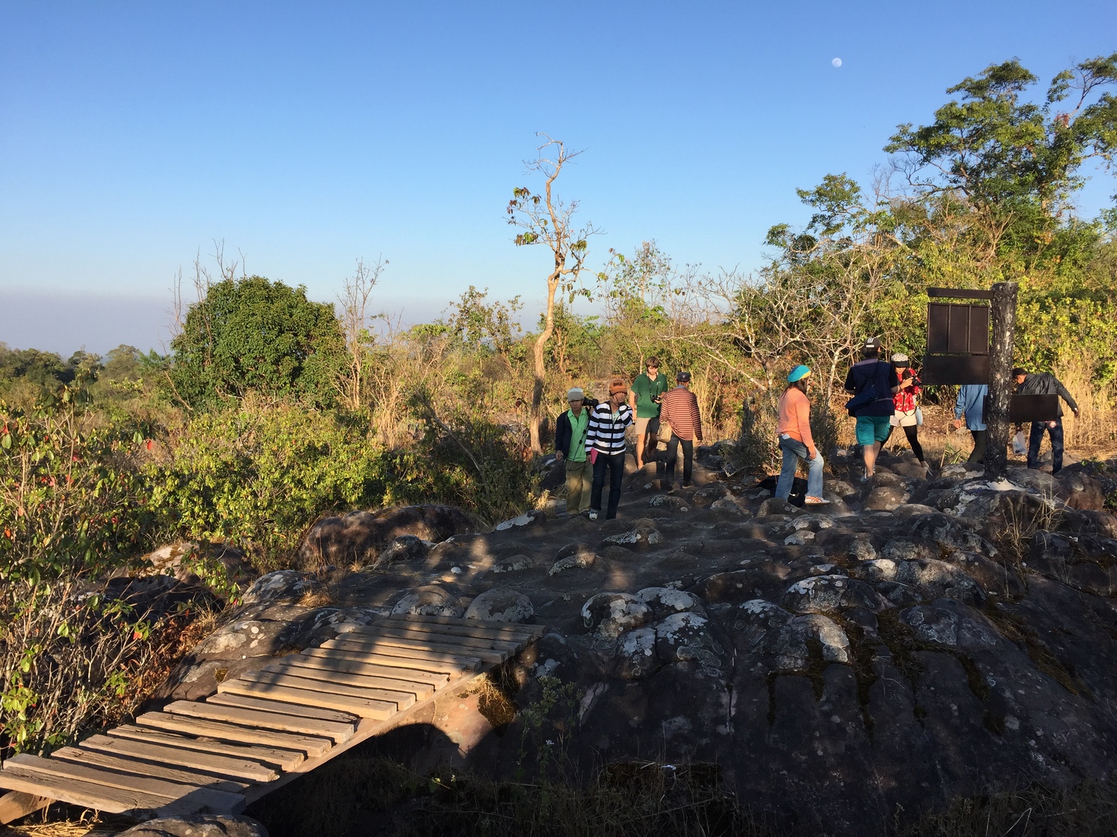 รูปถ่าย ไทย(Thailand) อุทยานแห่งชาติภูหินร่องกล้า(Phu Hin Rong Kla National Park) 2014-12 423