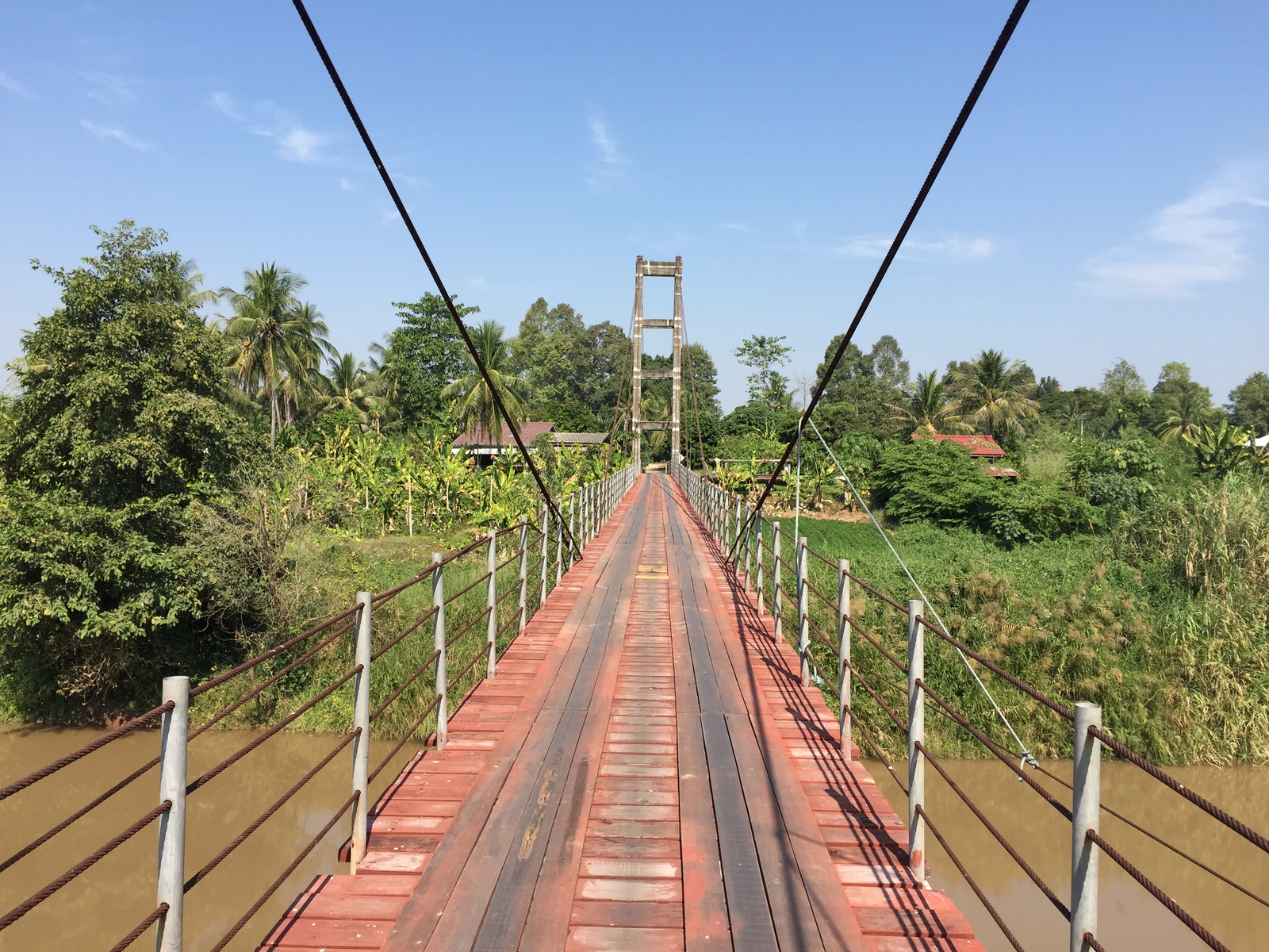 รูปถ่าย ไทย(Thailand) พิษณุโลก(Phitsanulok) 2014-12 32