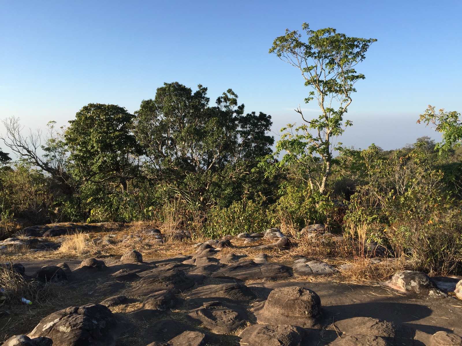 รูปถ่าย ไทย(Thailand) อุทยานแห่งชาติภูหินร่องกล้า(Phu Hin Rong Kla National Park) 2014-12 415