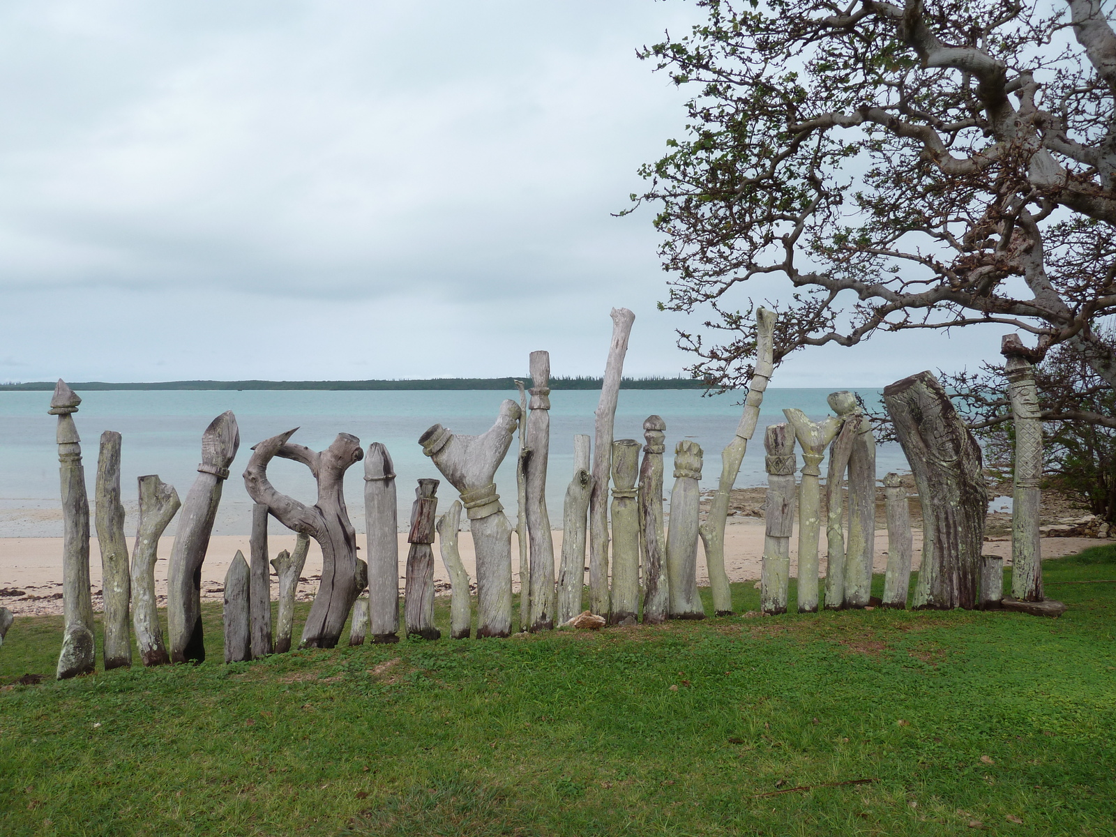 รูปถ่าย นิวแคลิโดเนีย(New Caledonia) เกาะต้นสน(Ile des pins) 2010-05 8