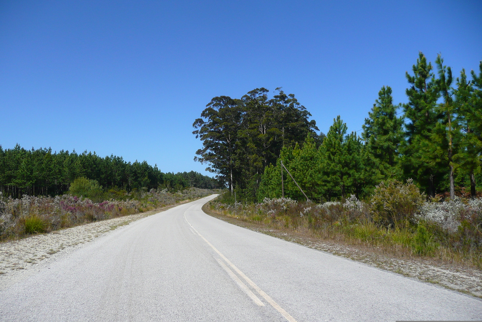 รูปถ่าย แอฟริกาใต้(South Africa) ถนนจากไนส์นาไปพอร์ตเอลิซาเบธ(Knysna to Port Elizabeth road) 2008-09 24