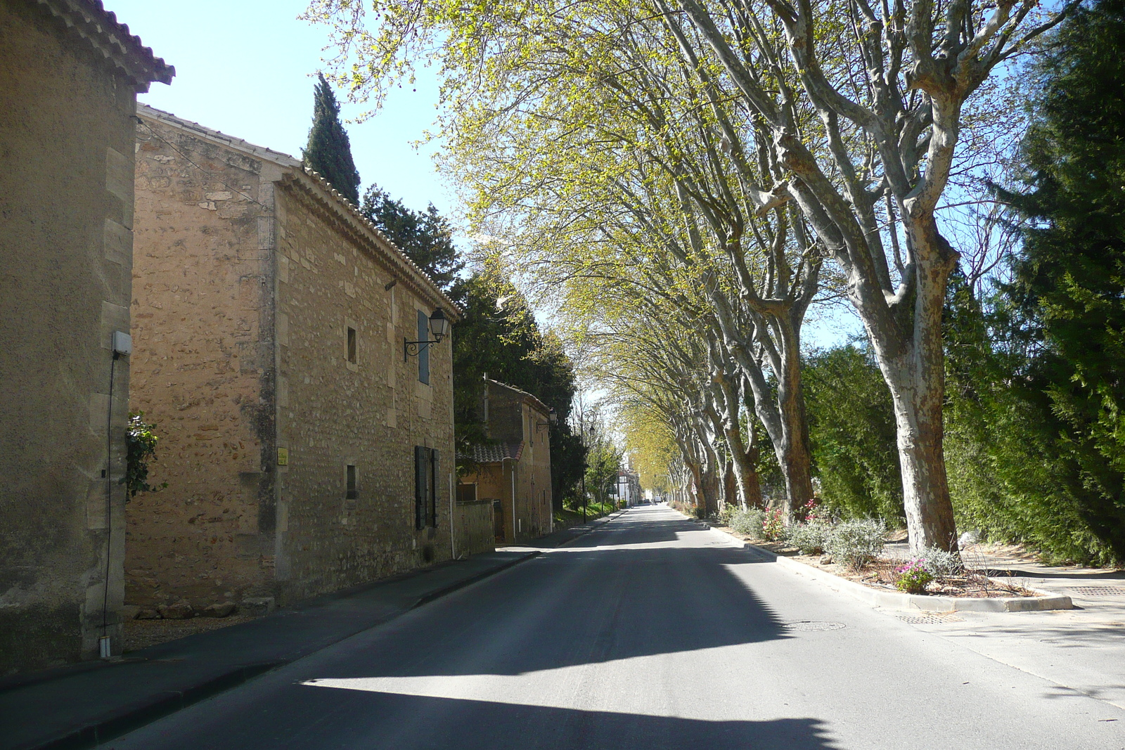 รูปถ่าย ฝรั่งเศส(France) มูรีแยส(Mouries) 2008-04 0