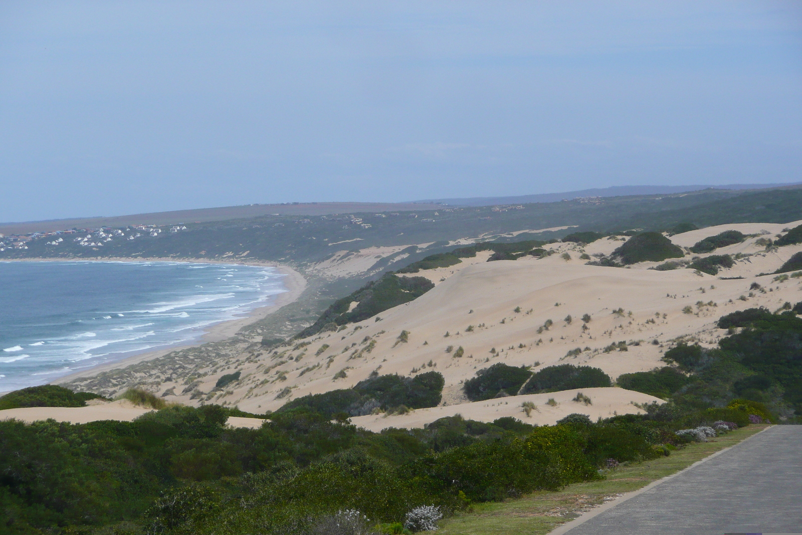 รูปถ่าย แอฟริกาใต้(South Africa) ถนนจากเฮอร์มานัสไปไนส์นา(Harmanus to Knysna road) 2008-09 60