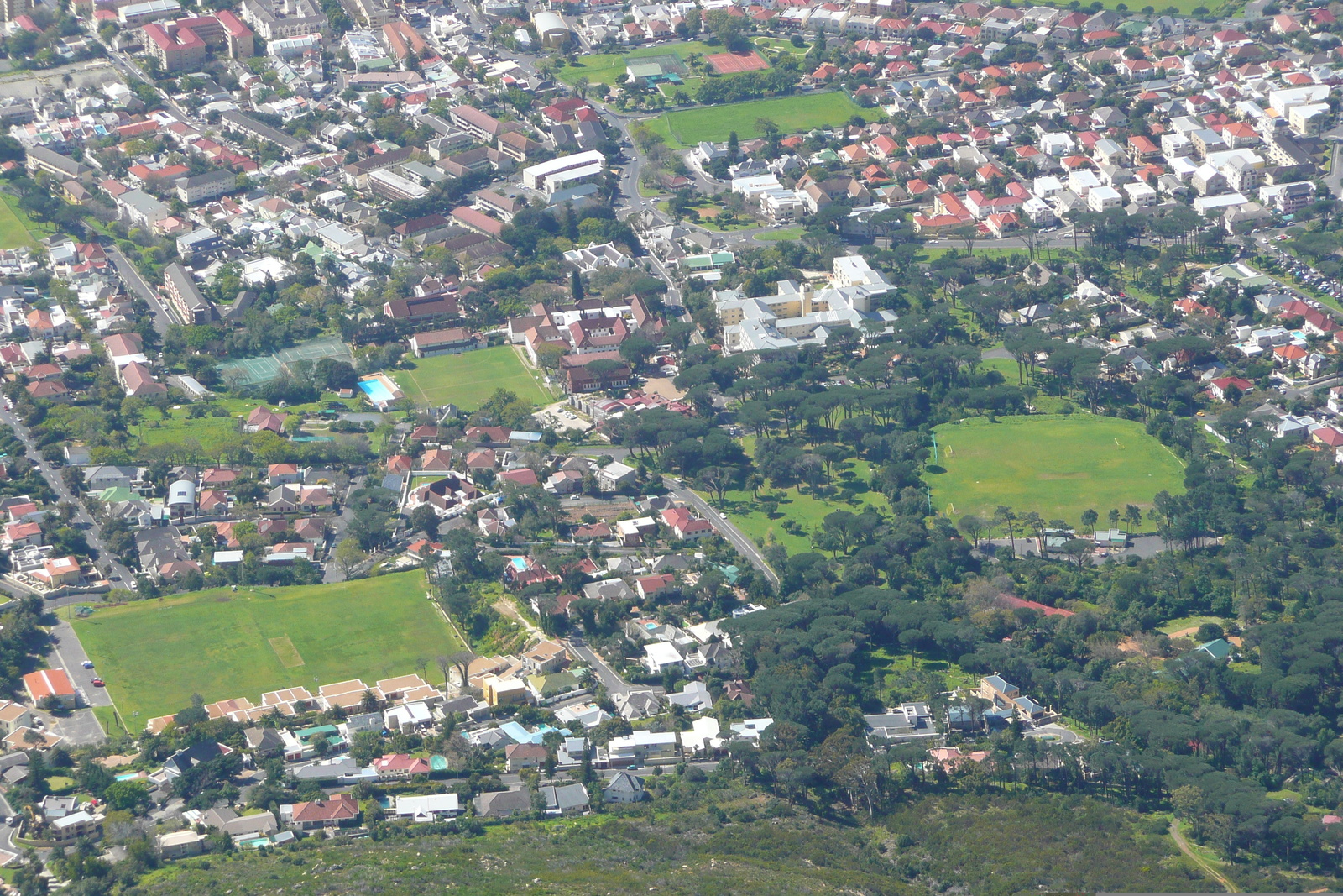รูปถ่าย แอฟริกาใต้(South Africa) เคปทาวน์(Cape Town) ภูเขาเทเบิล(Table Mountain) 2008-09 108