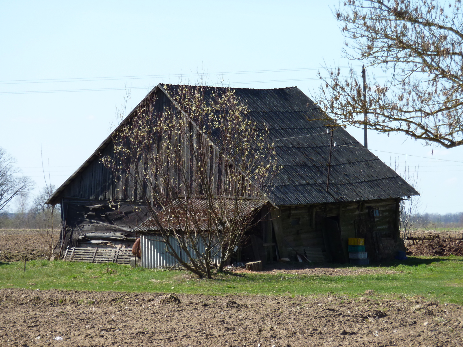 รูปถ่าย ลัตเวีย(Latvia) 2009-04 31