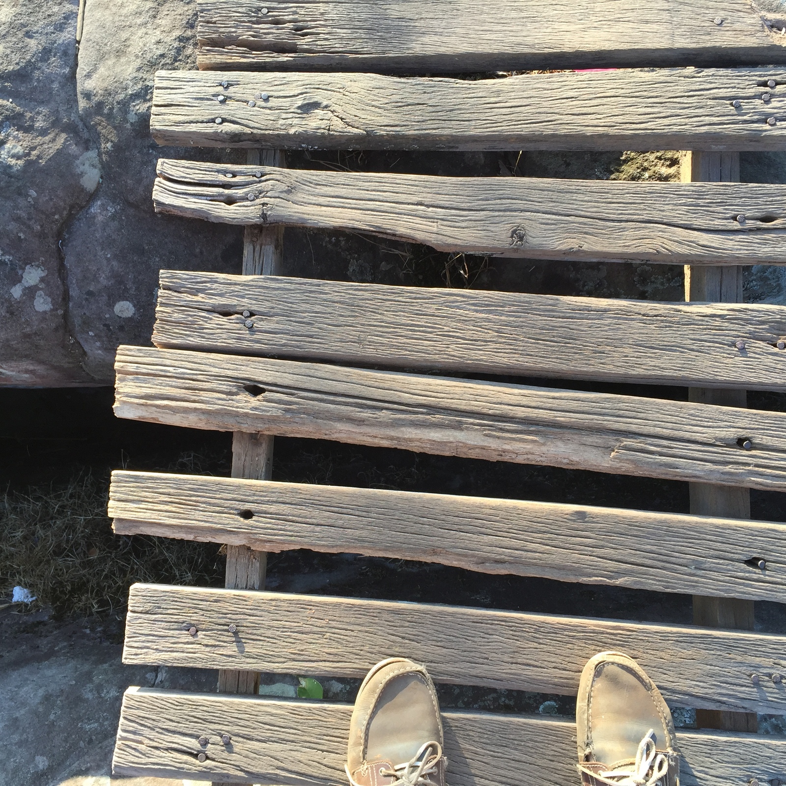 รูปถ่าย ไทย(Thailand) อุทยานแห่งชาติภูหินร่องกล้า(Phu Hin Rong Kla National Park) 2014-12 344