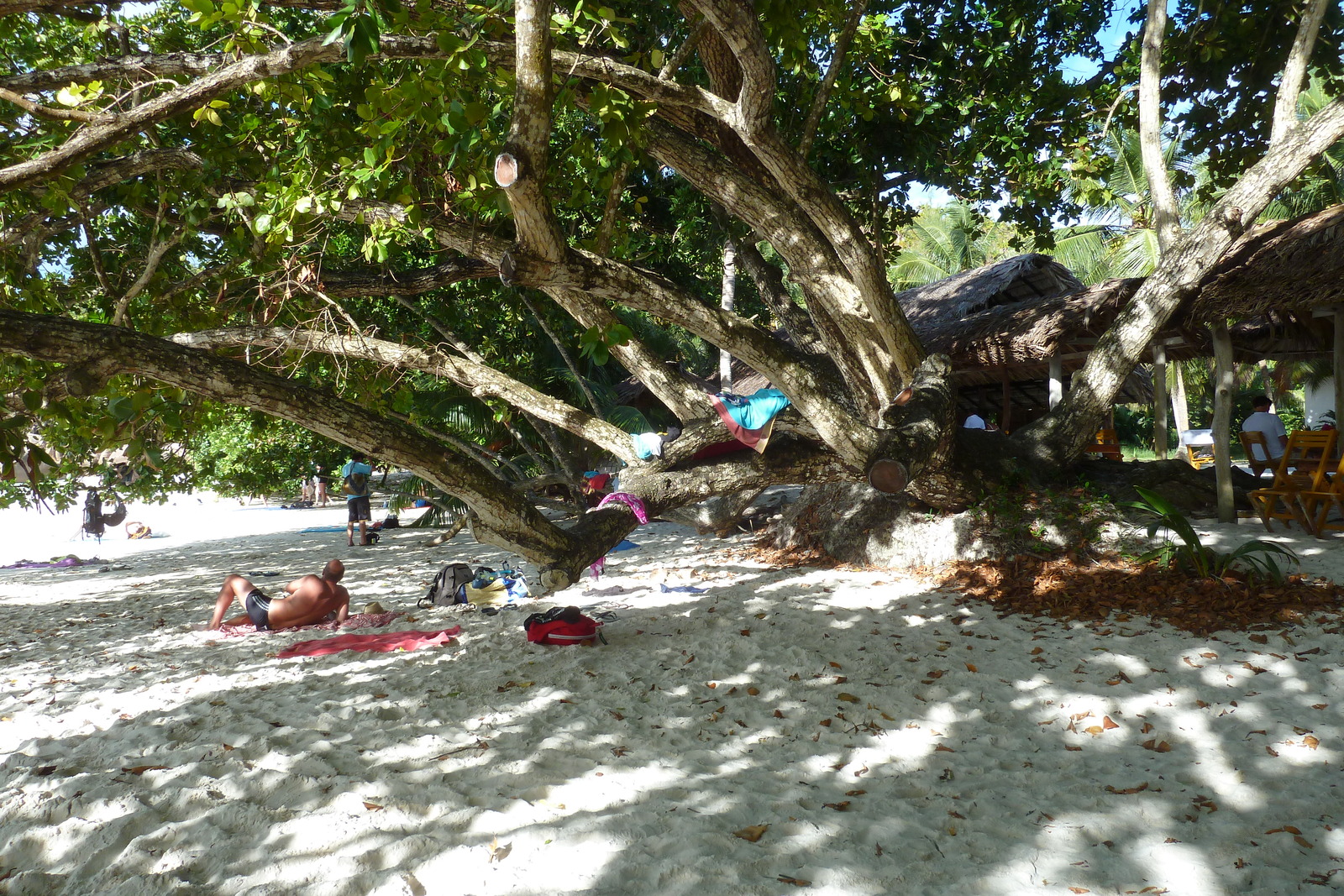 รูปถ่าย เซเชลส์(Seychelles) อ่าวอ็องส์ลาซิโอ(Anse Lazio) 2011-10 96