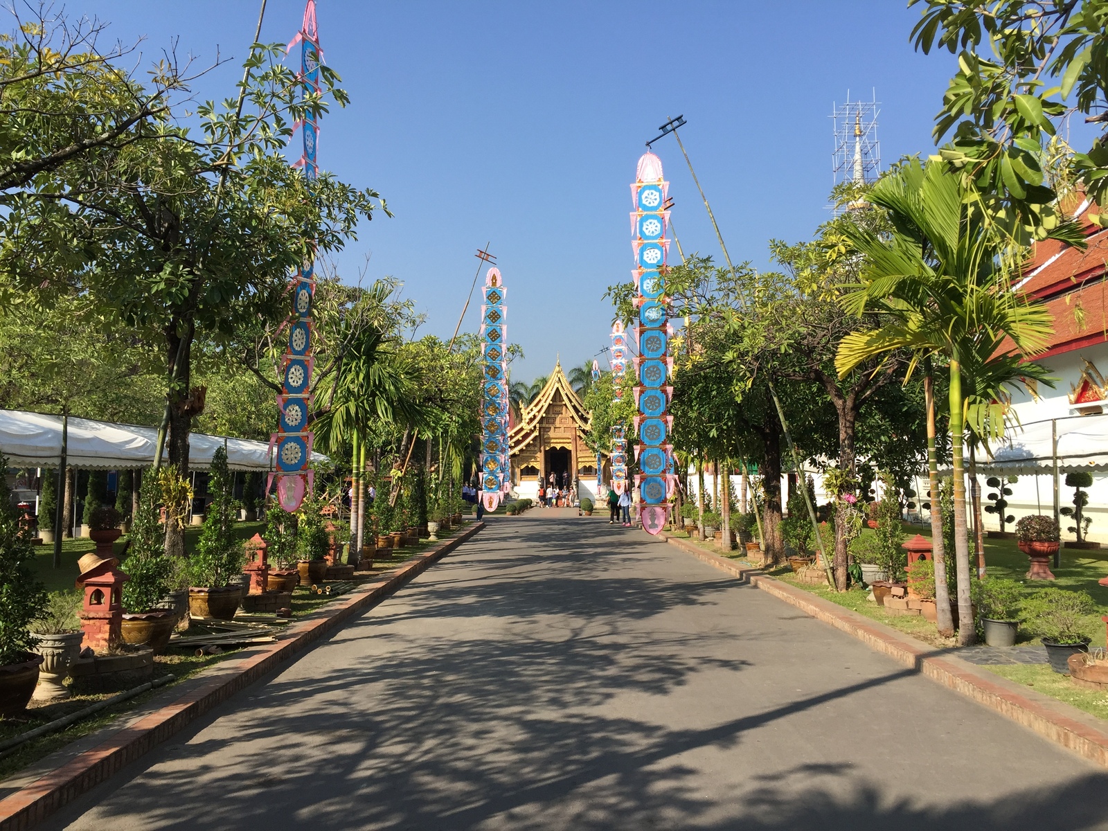 รูปถ่าย ไทย(Thailand) เชียงใหม่(Chiang Mai) 2014-12 63