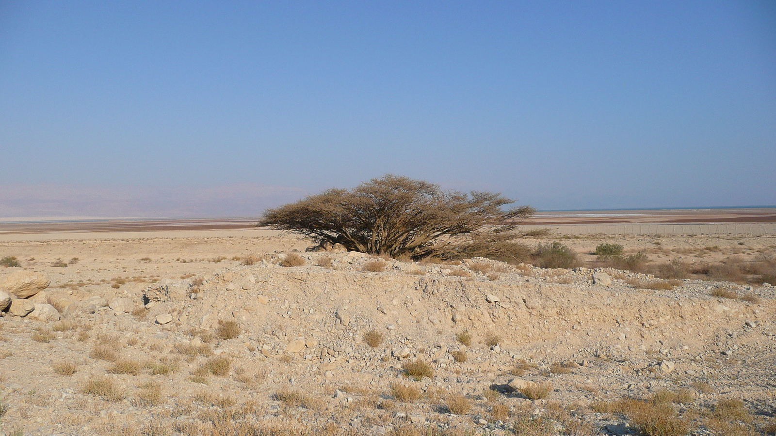 รูปถ่าย อิสราเอล(Israel) ทะเลดำ(Dead Sea) 2007-06 178