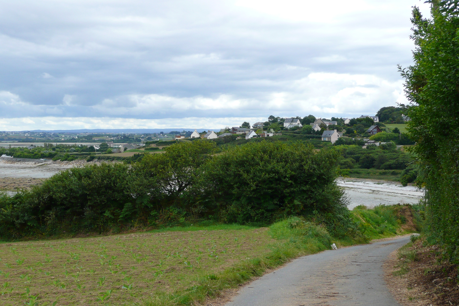 รูปถ่าย ฝรั่งเศส(France) โรสคอฟ(Roscoff) 2007-08 8