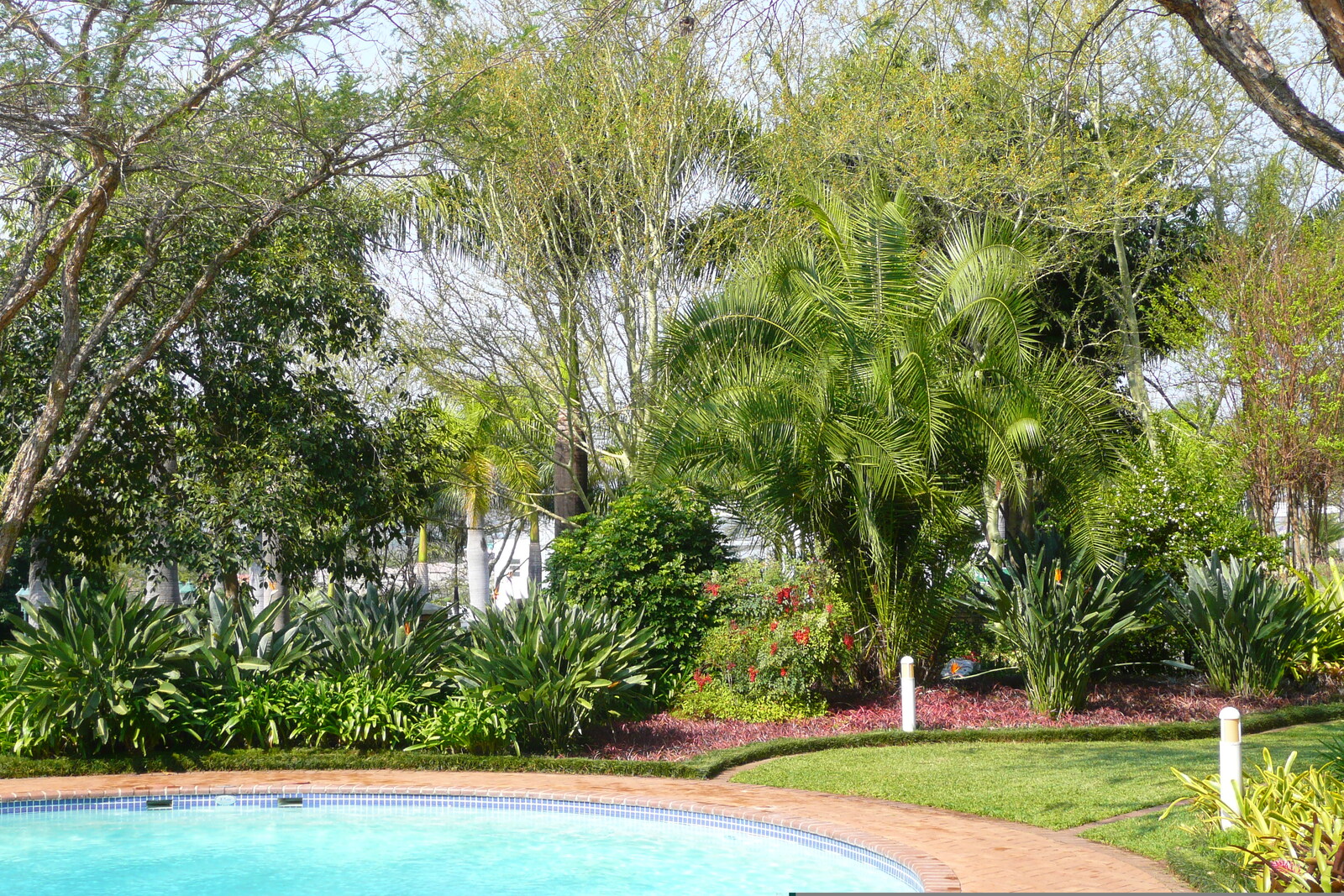 รูปถ่าย แอฟริกาใต้(South Africa) เนลสปรุต(Nelspruit) โรงแรมสเตย์อีซี เซาเทิร์นซัน(Stay Easy Southern Sun Hotel) 2008-09 4