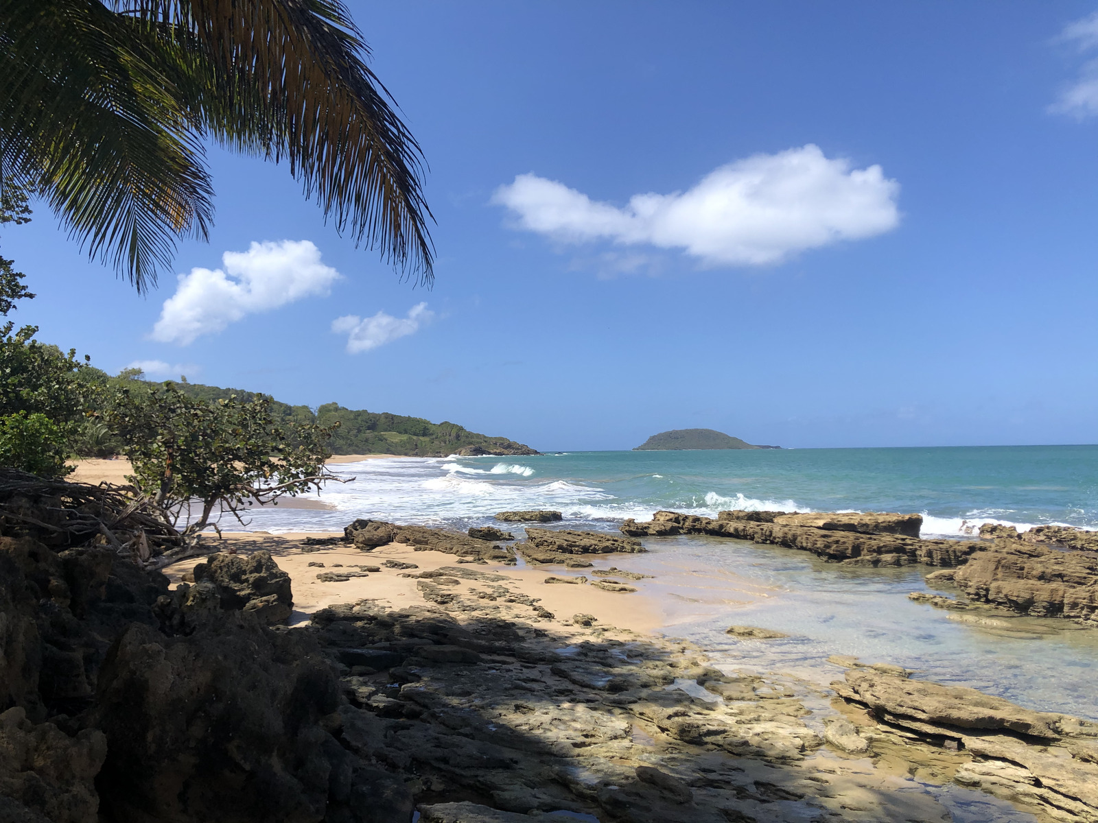 รูปถ่าย กวาเดอลูป(Guadeloupe) หาดกลูญี(Clugny Beach) 2021-02 3