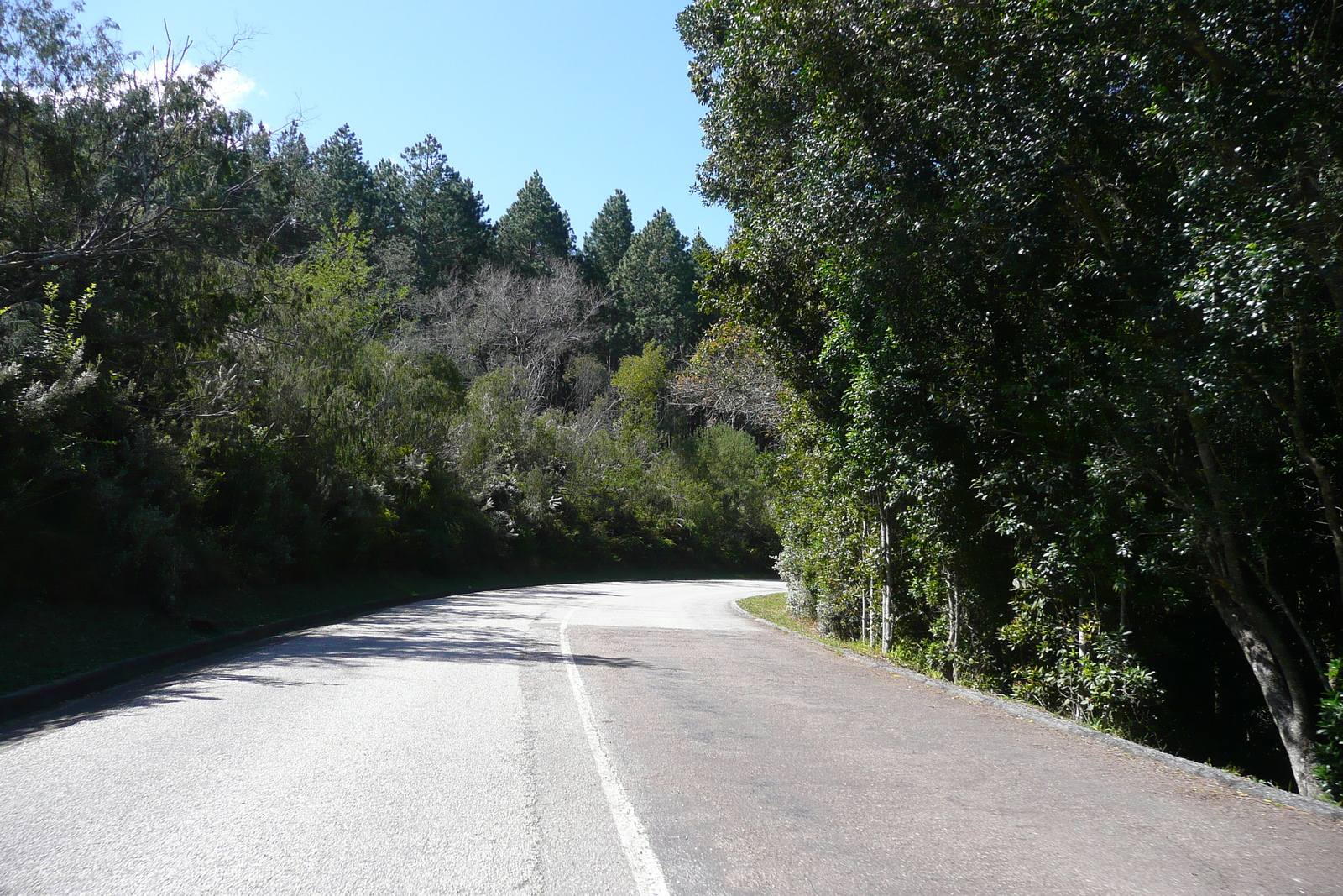 รูปถ่าย แอฟริกาใต้(South Africa) อุทยานแห่งชาติซิตซิคัมมา(Tsitsikamma National Park) 2008-09 123