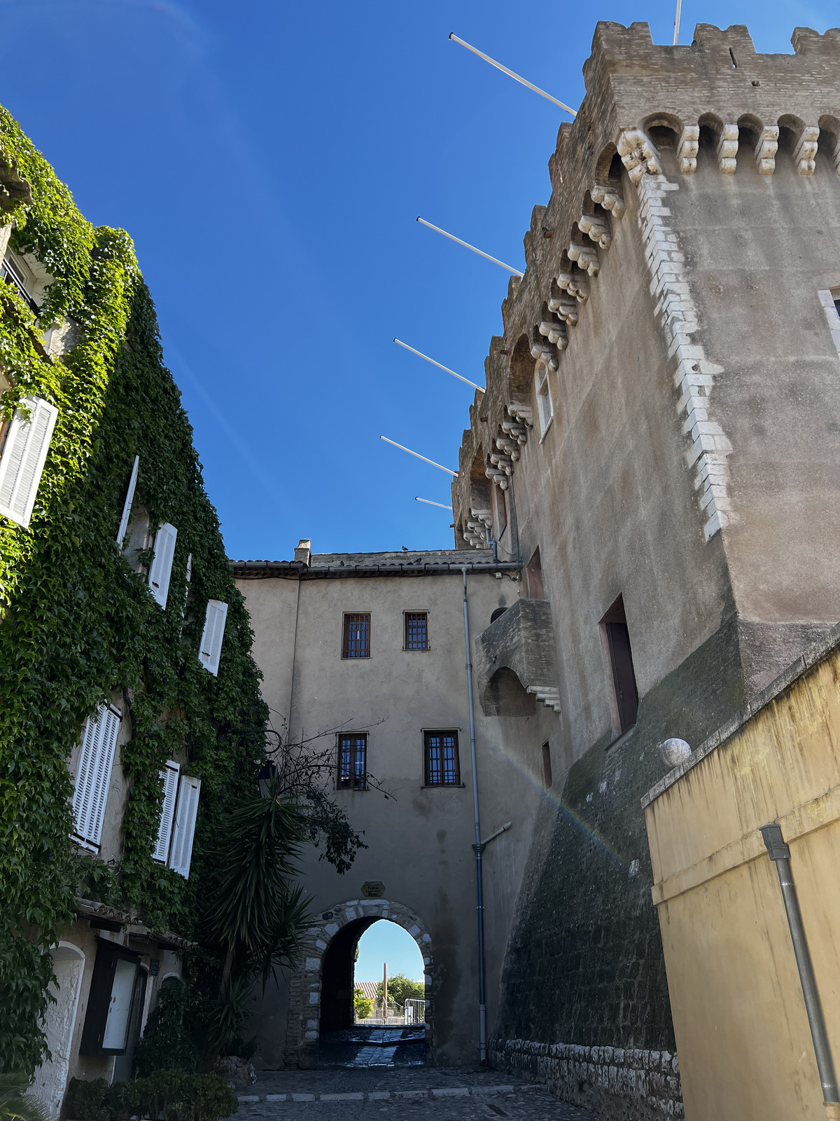 รูปถ่าย ฝรั่งเศส(France) โอเดอกาญ(Haut de Cagne) 2024-04 11