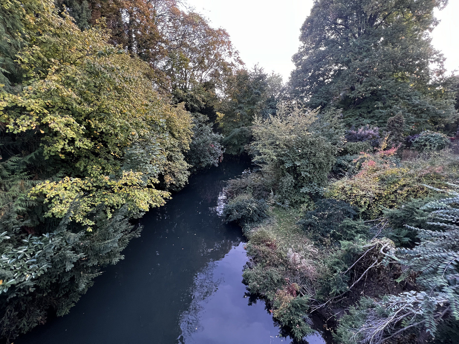 รูปถ่าย ฝรั่งเศส(France) กอลมาร์(Colmar) 2023-10 85