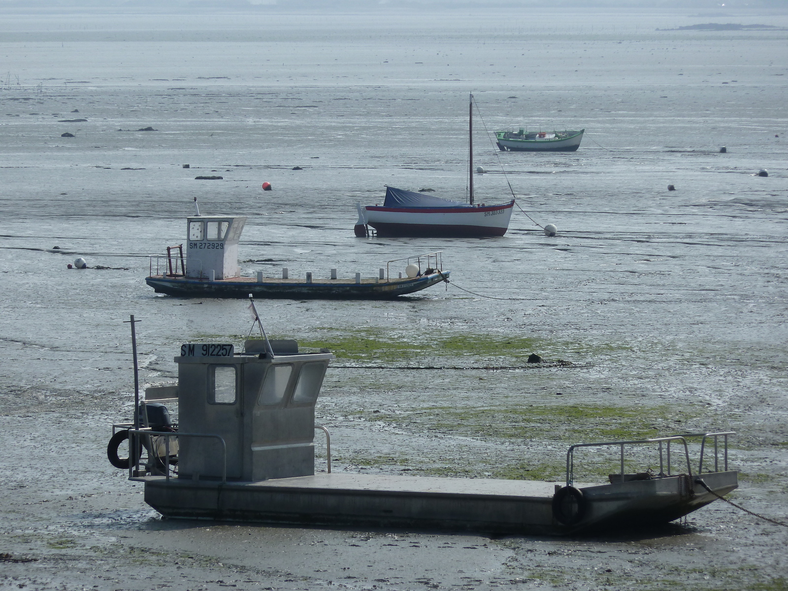 รูปถ่าย ฝรั่งเศส(France) ก็องกาล(Cancale) 2010-04 29