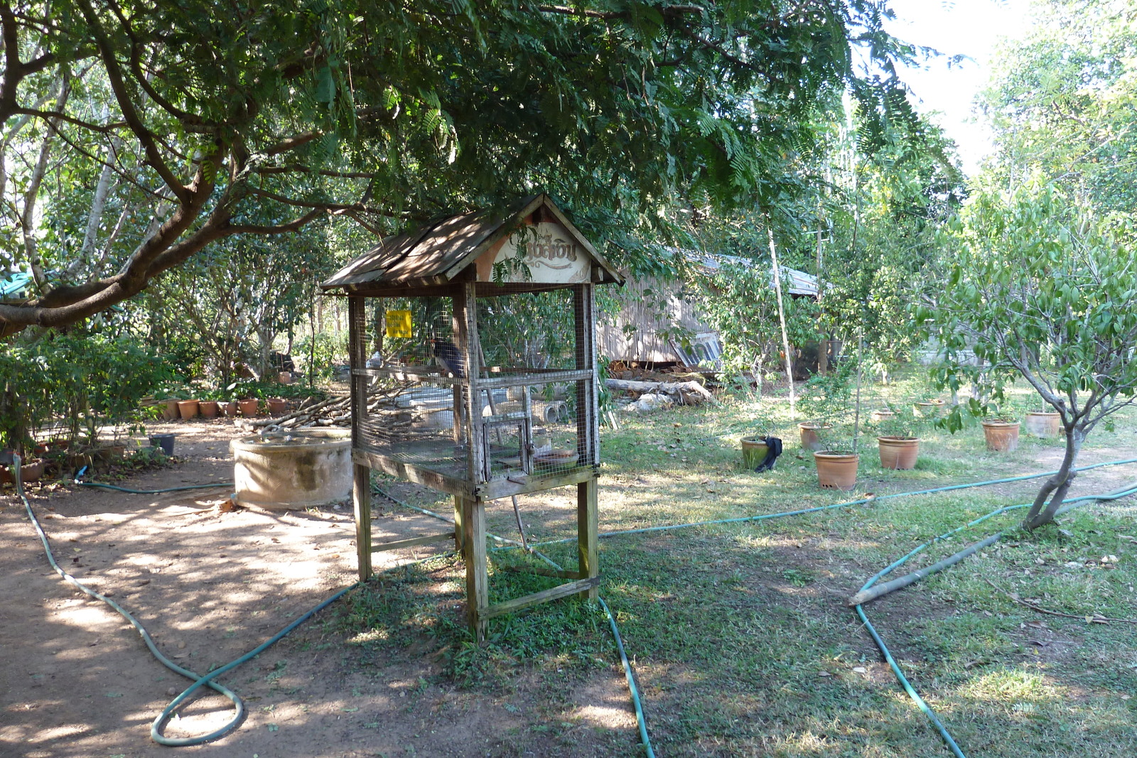 รูปถ่าย ไทย(Thailand) เชียงใหม่(Chiang Mai) ฟาร์มงูแม่สา(Mae Sa Snake Farm) 2010-12 9