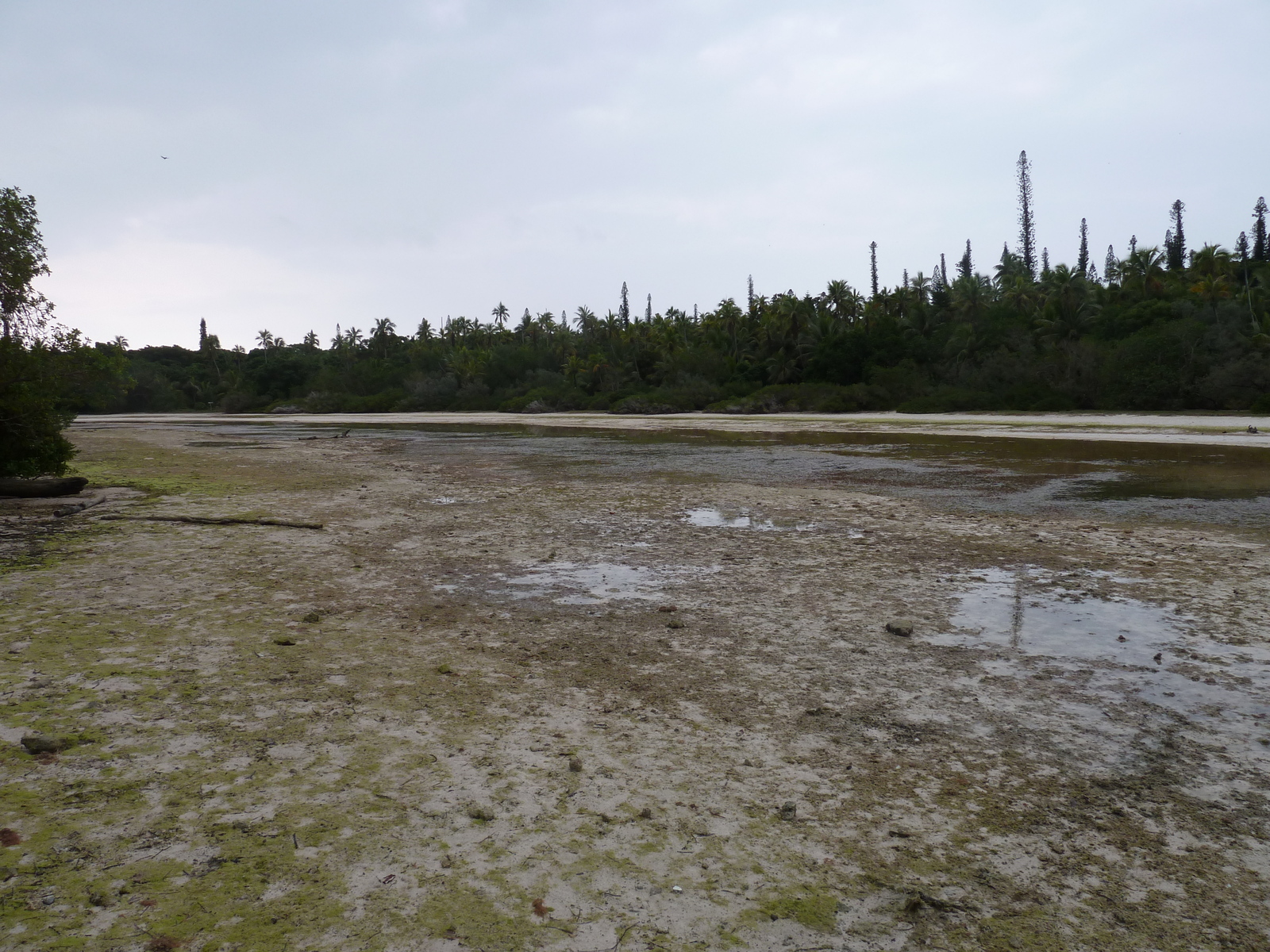 รูปถ่าย นิวแคลิโดเนีย(New Caledonia) เกาะต้นสน(Ile des pins) อ่าวโอโร(Oro Bay) 2010-05 26