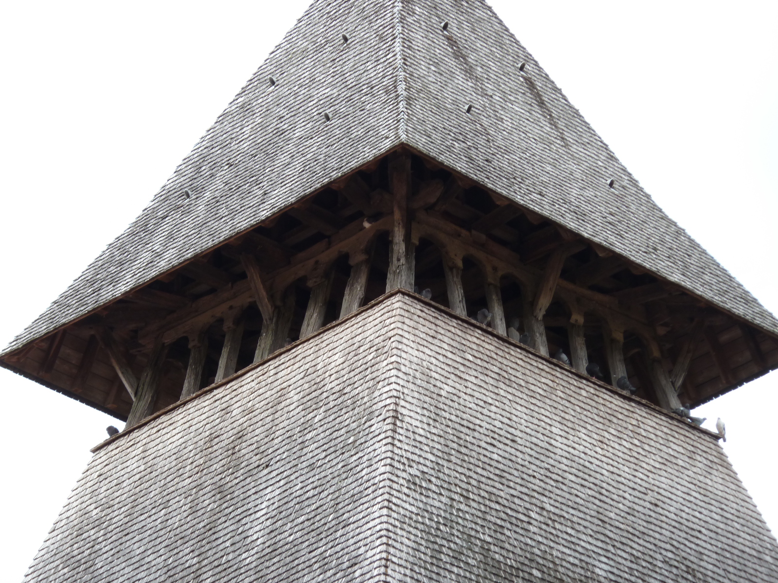 รูปถ่าย ฝรั่งเศส(France) กาดูแอ็ง(Cadouin) 2010-08 60