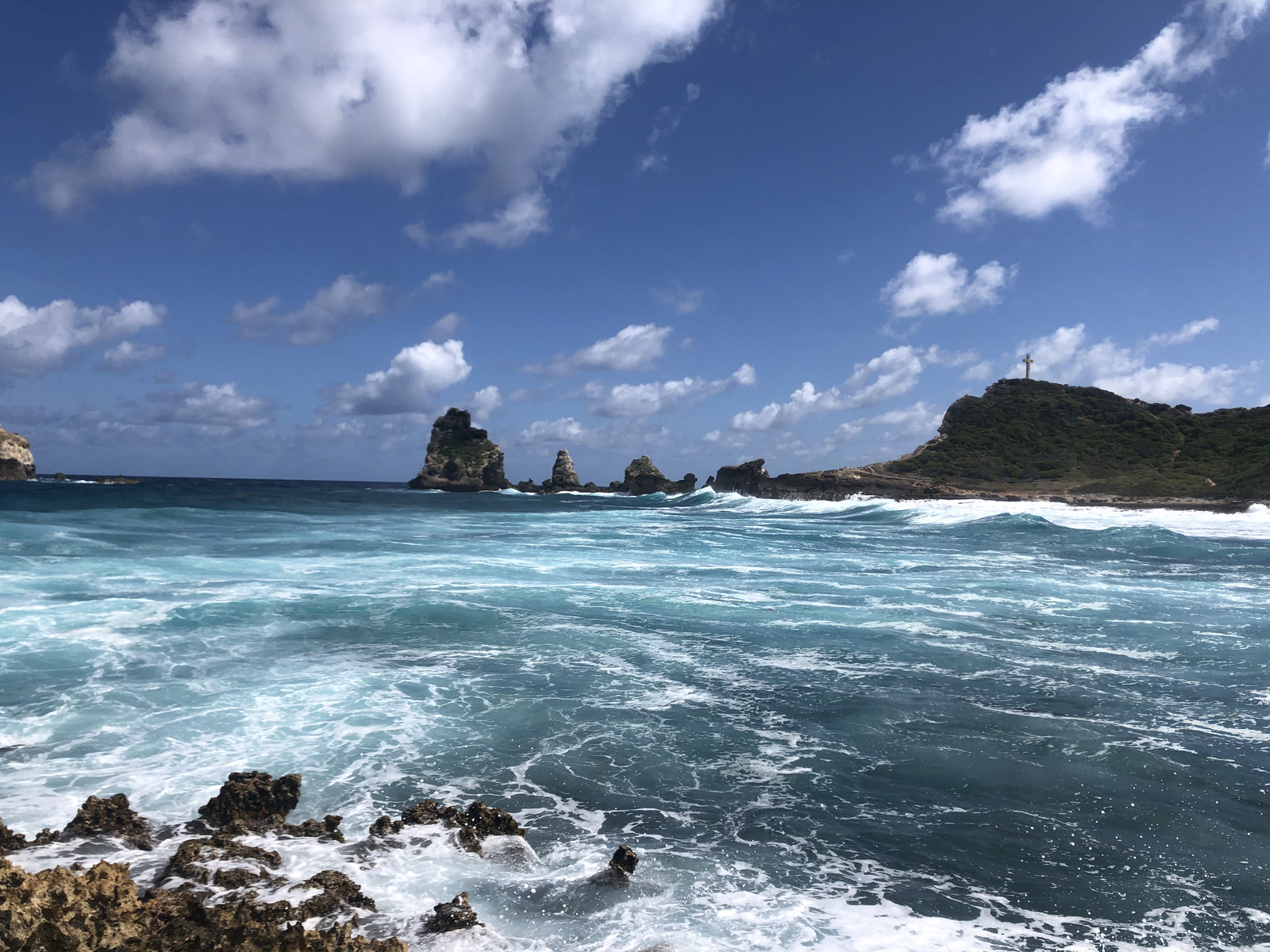 รูปถ่าย กวาเดอลูป(Guadeloupe) แหลมคาสเซิลพอยต์(Castle Point) 2021-02 308
