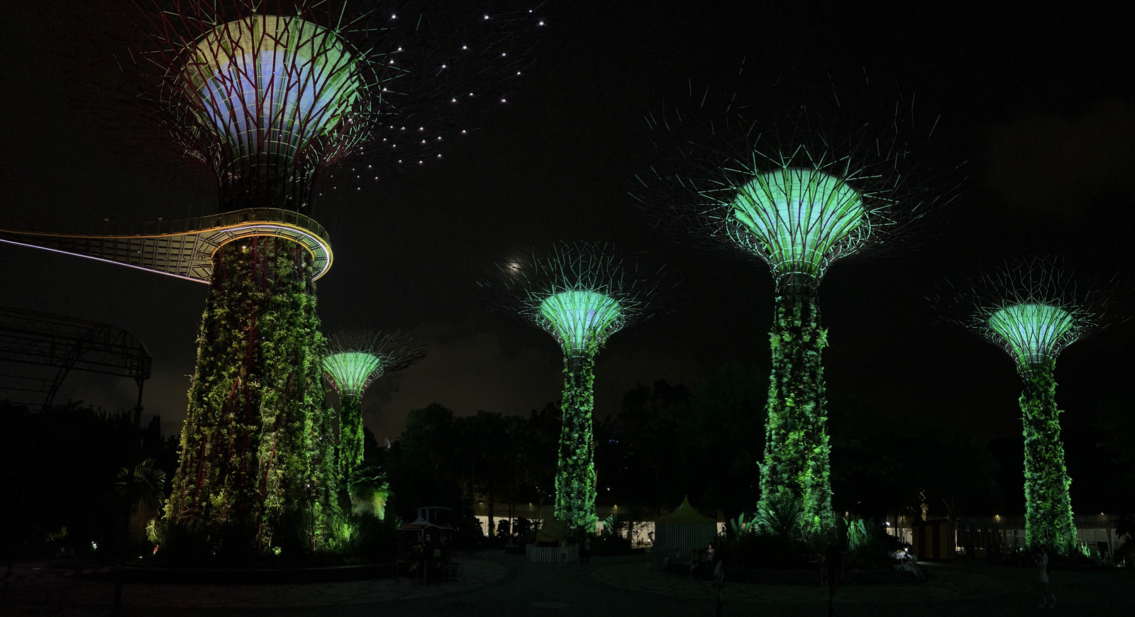 รูปถ่าย สิงคโปร์(Singapore) การ์เดนส์บายเดอะเบย์(Garden by the bay) 2023-01 11
