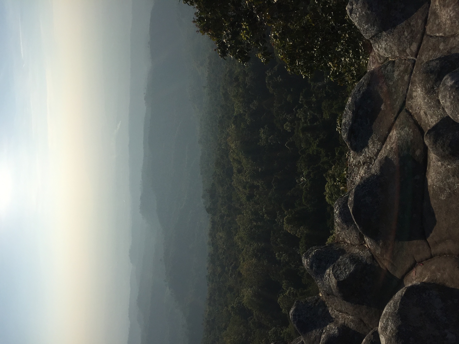 รูปถ่าย ไทย(Thailand) อุทยานแห่งชาติภูหินร่องกล้า(Phu Hin Rong Kla National Park) 2014-12 381
