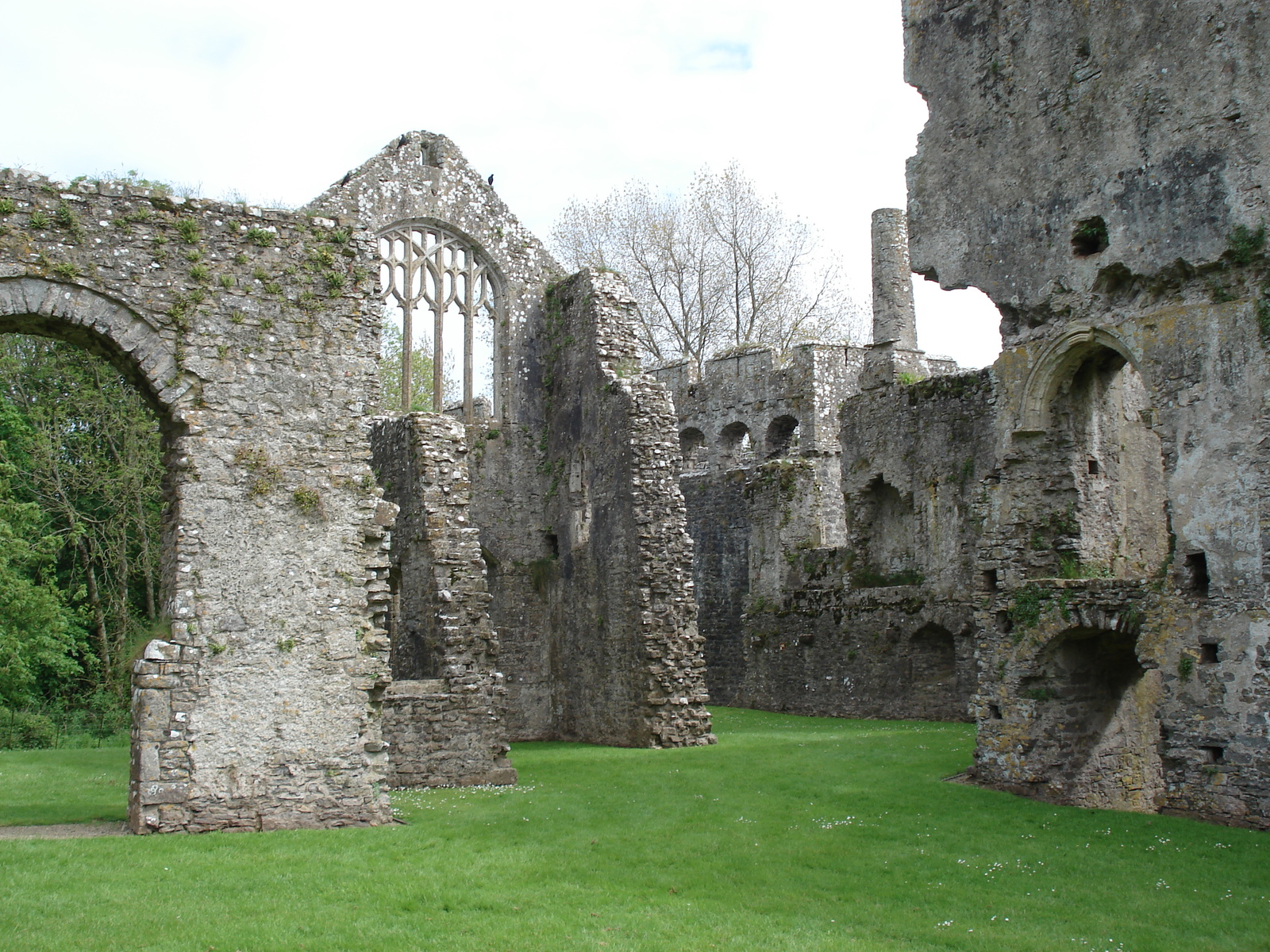 รูปถ่าย อังกฤษ(United Kingdom) เปมโบรคเชอร์(Pembrokeshire) แลมปลี(Lamphey) 2006-05 13
