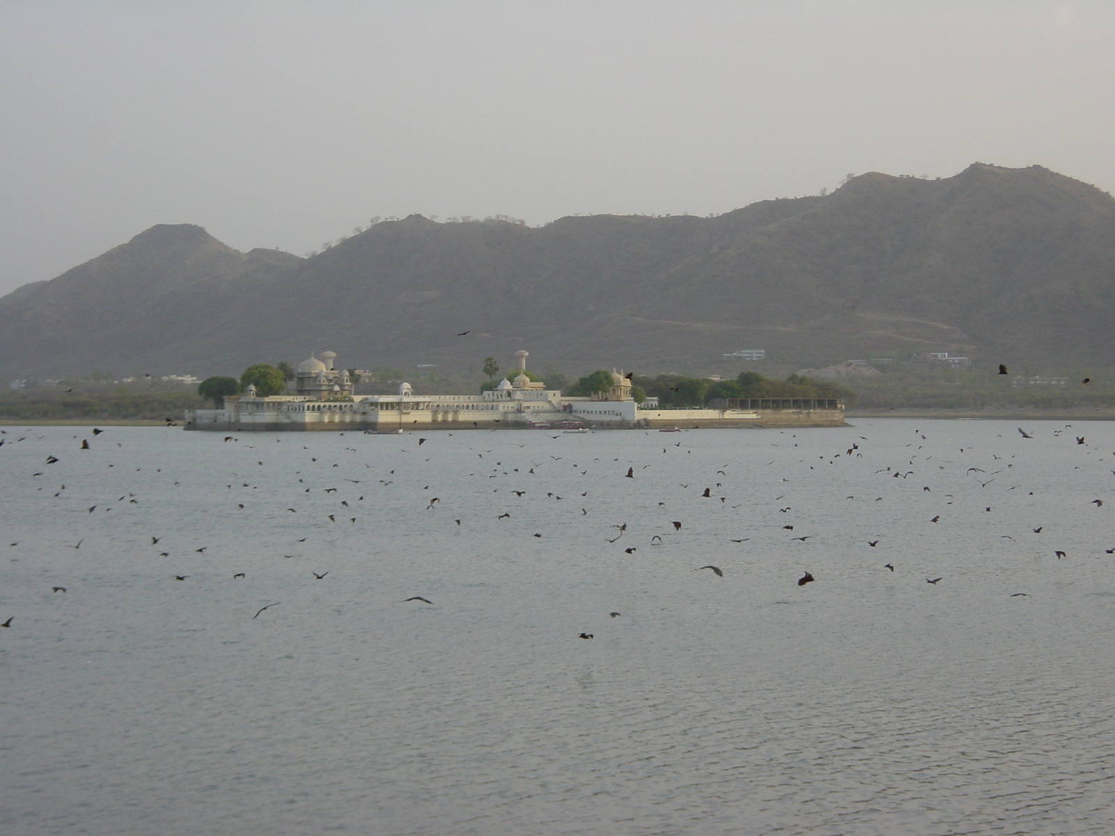 รูปถ่าย อินเดีย(India) อูไดปูร์(Udaipur) 2003-05 7