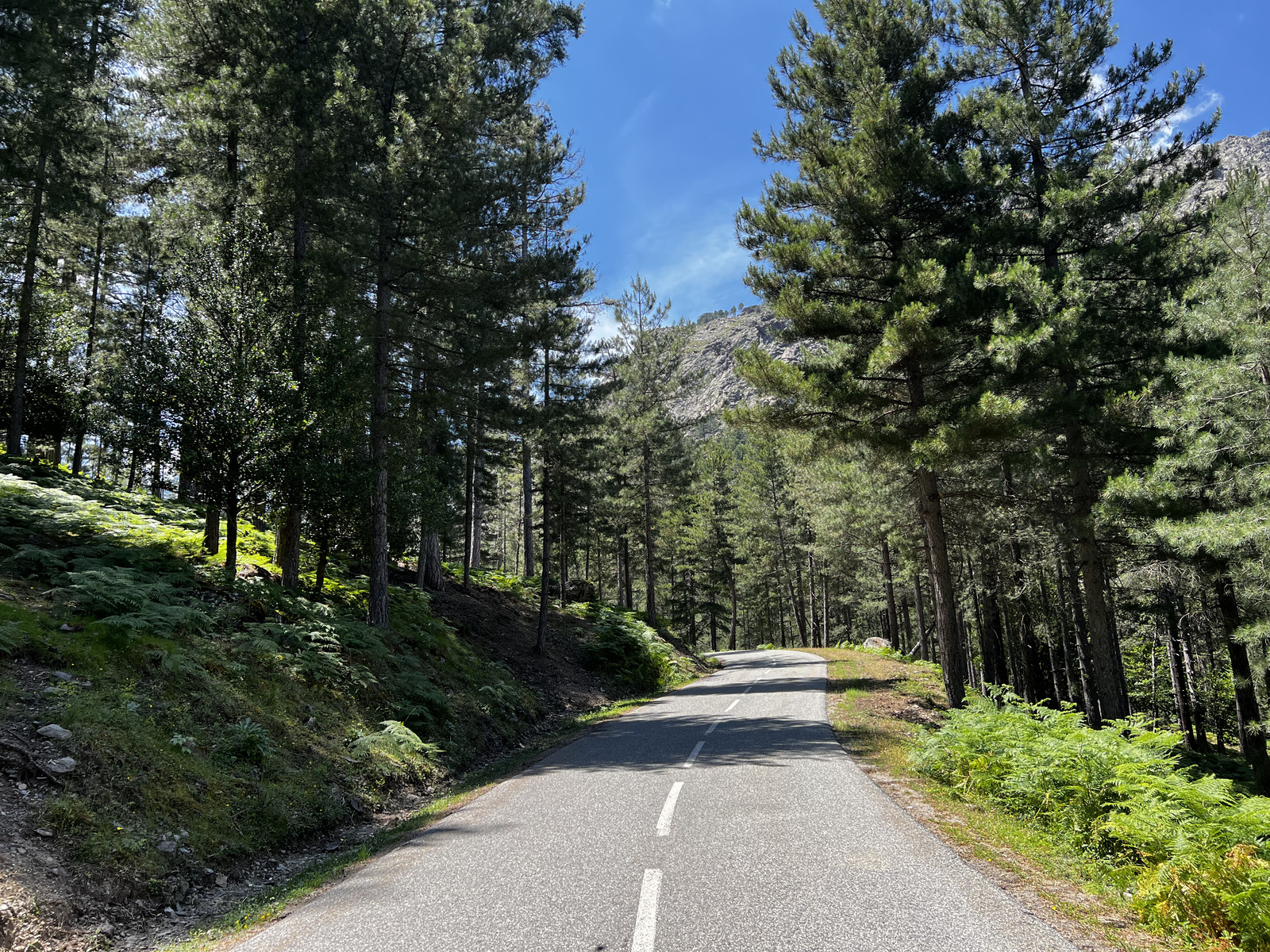 รูปถ่าย ฝรั่งเศส(France) คอร์สิคา(Corsica) อัสโก(Asco) 2023-06 17