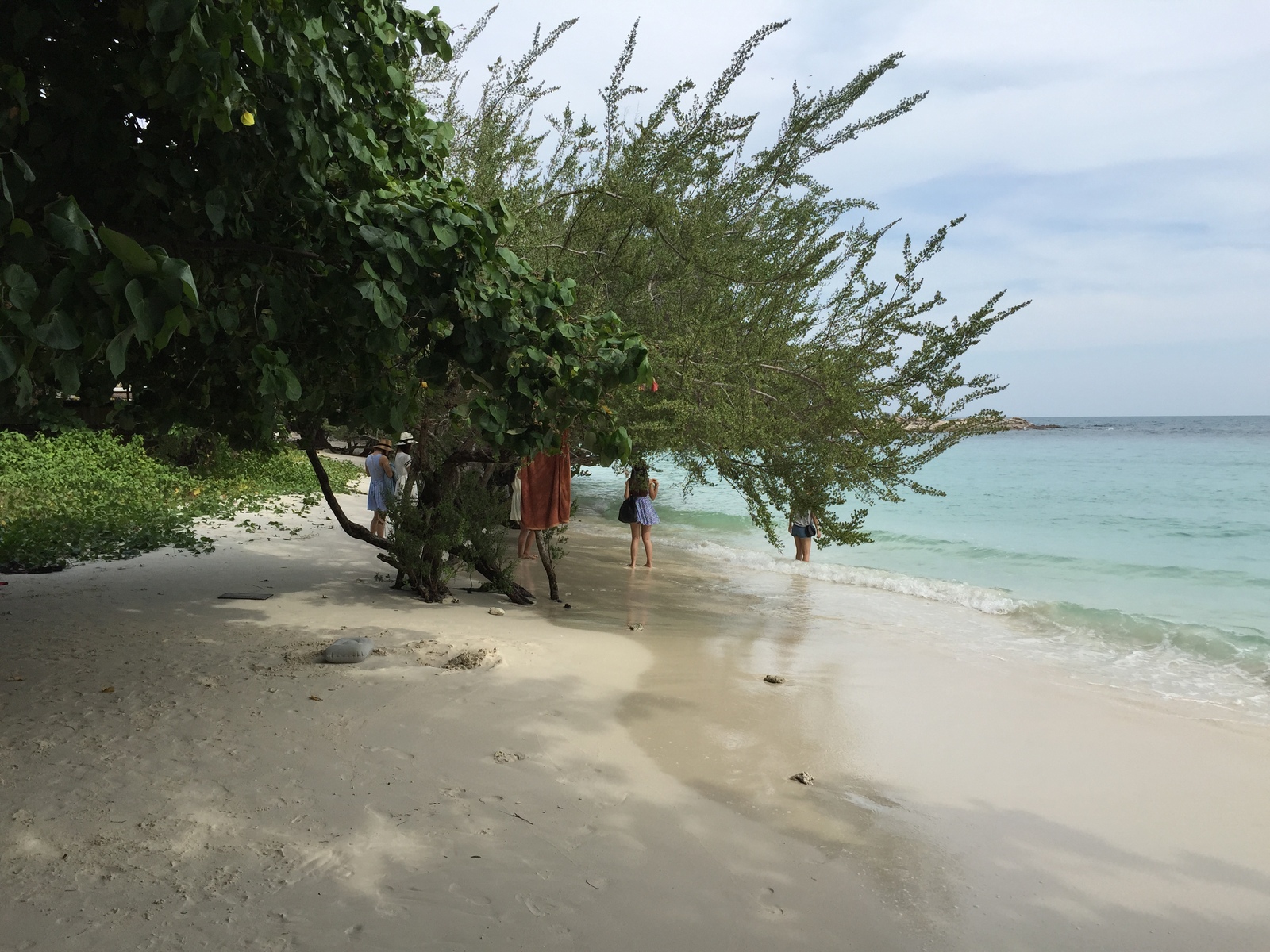 รูปถ่าย ไทย(Thailand) เกาะเสม็ด(Ko Samet) 2014-12 257