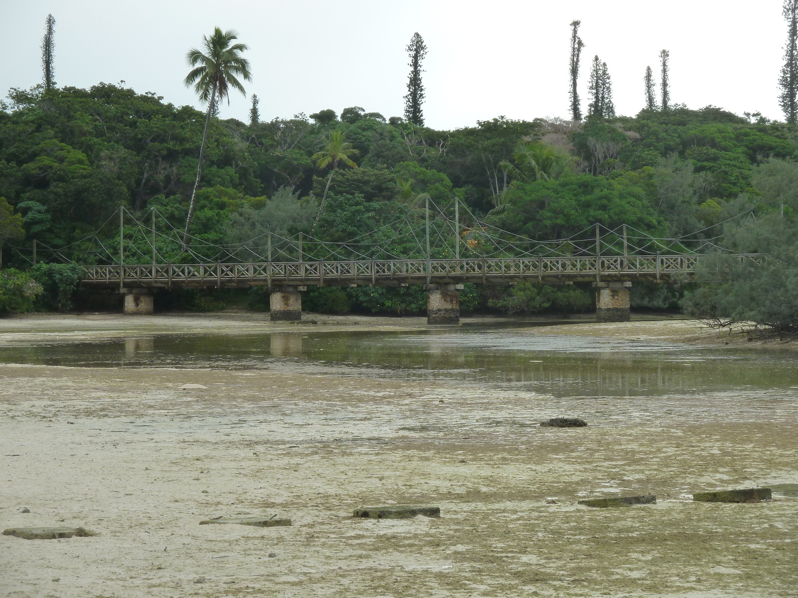 รูปถ่าย นิวแคลิโดเนีย(New Caledonia) เกาะต้นสน(Ile des pins) อ่าวโอโร(Oro Bay) 2010-05 96