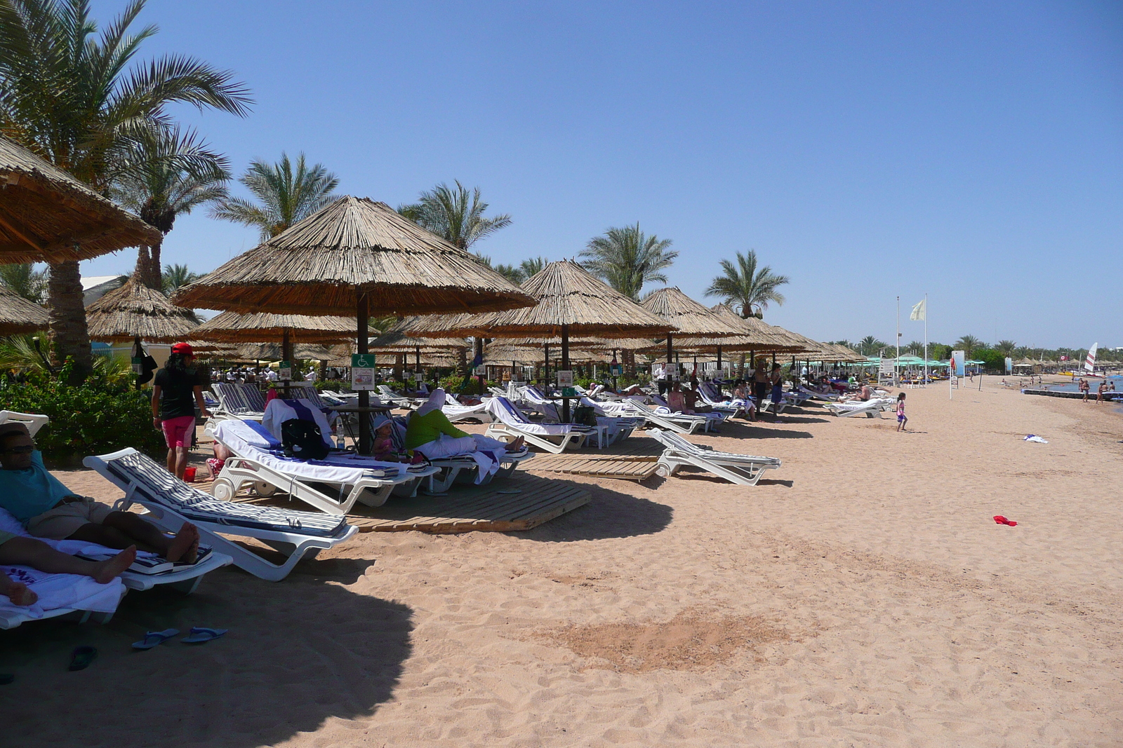 รูปถ่าย อียิปต์(Egypt) ชาร์มเอลชีค(Sharm el Sheikh) 2008-06 99