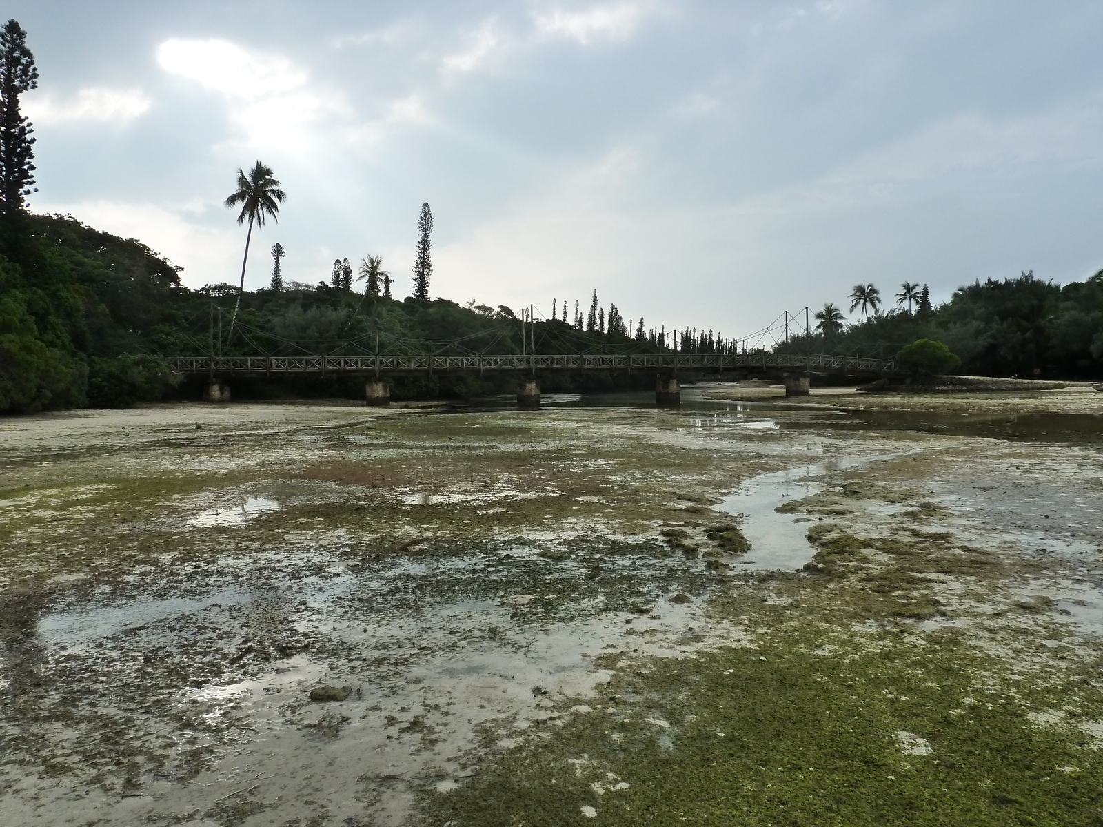 รูปถ่าย นิวแคลิโดเนีย(New Caledonia) เกาะต้นสน(Ile des pins) อ่าวโอโร(Oro Bay) 2010-05 85