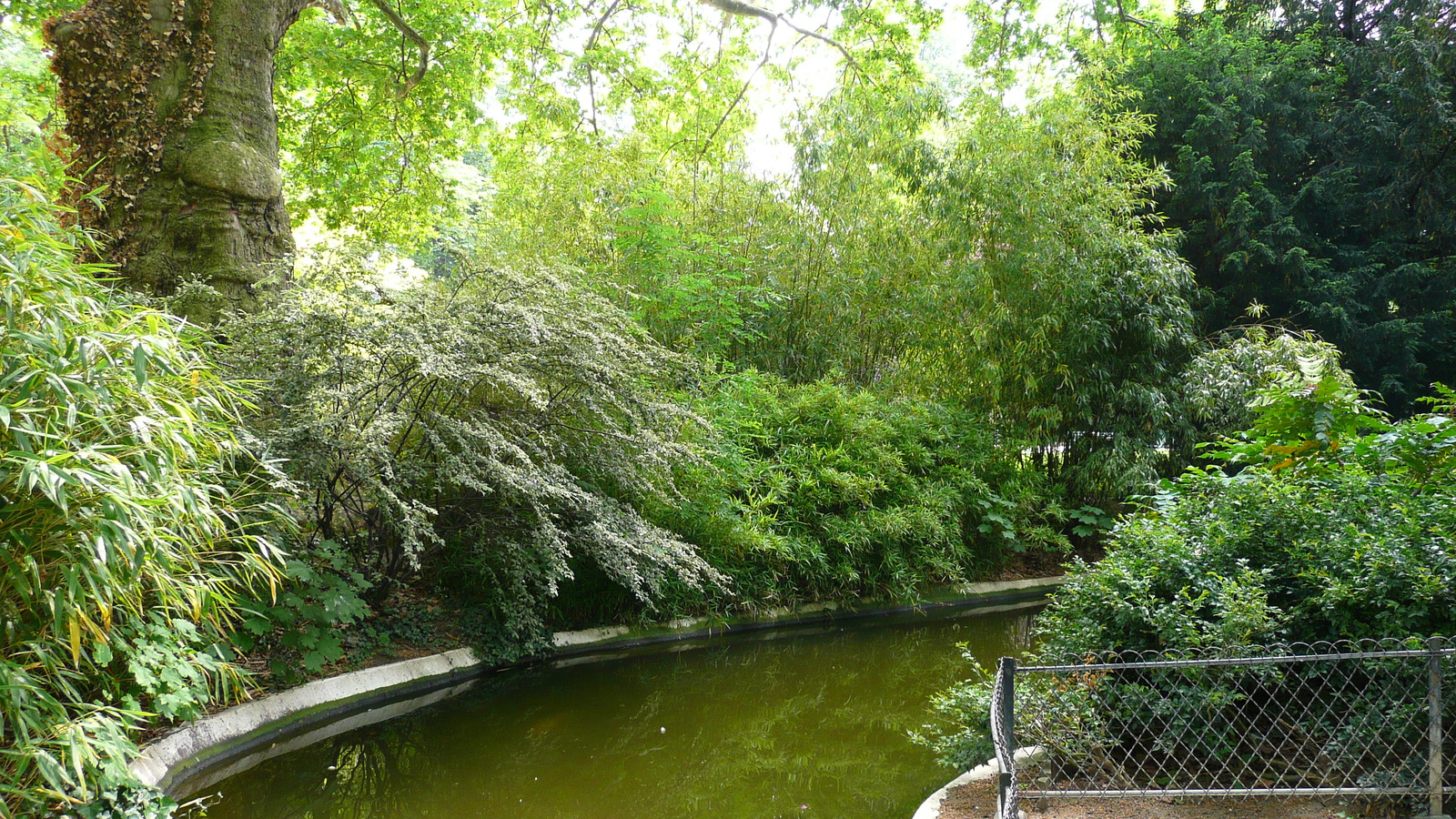 รูปถ่าย ฝรั่งเศส(France) ปารีส(Paris) สวนมงโซ(Monceau Garden) 2007-06 27
