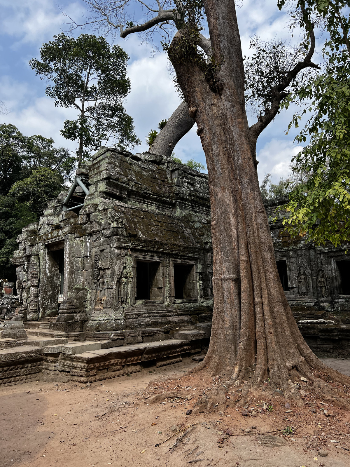 รูปถ่าย กัมพูชา(Cambodia) เสียมราฐ(Siem Reap) ปราสาทตาพรหม(Ta Prohm) 2023-01 134