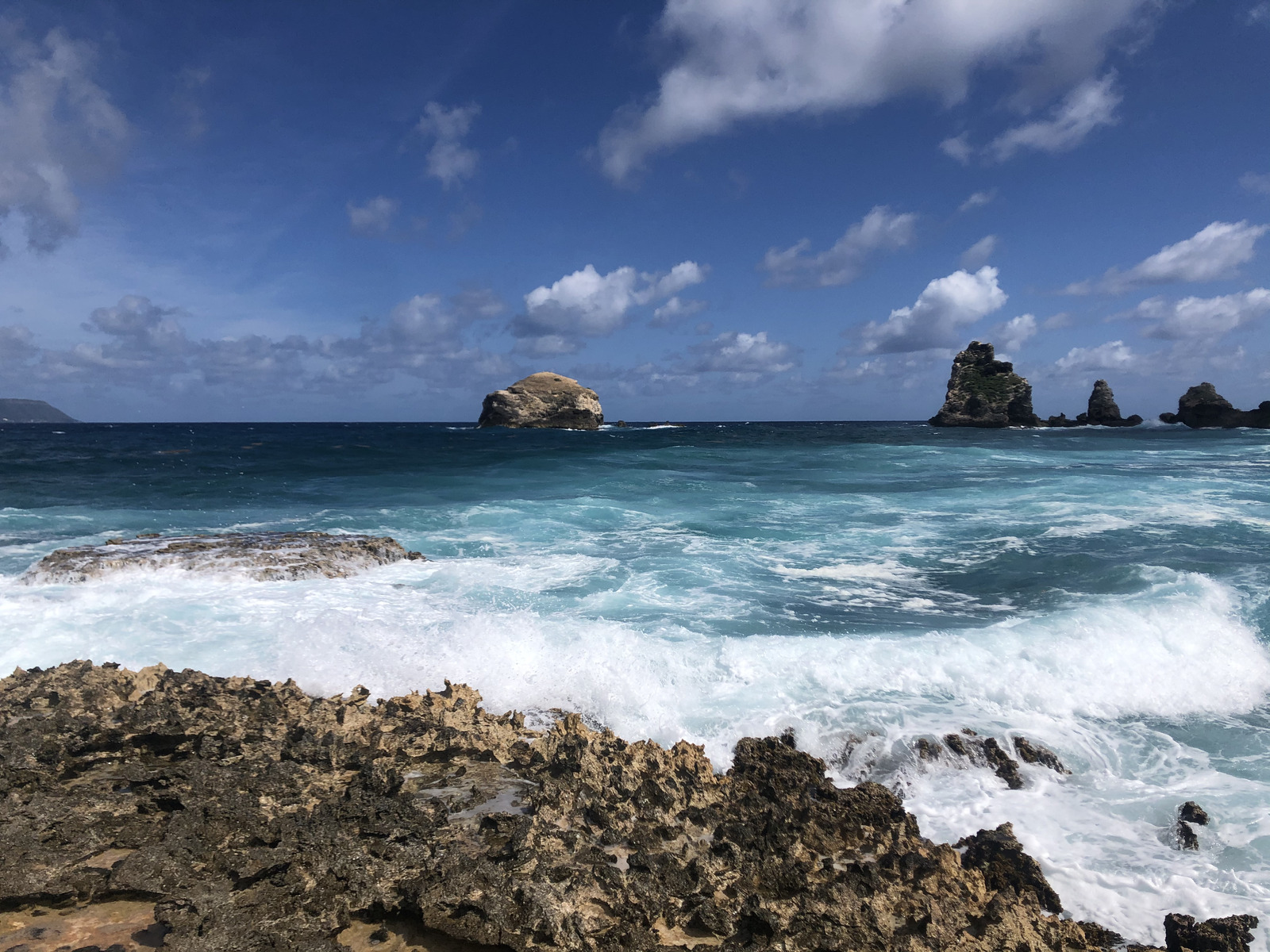 รูปถ่าย กวาเดอลูป(Guadeloupe) แหลมคาสเซิลพอยต์(Castle Point) 2021-02 332