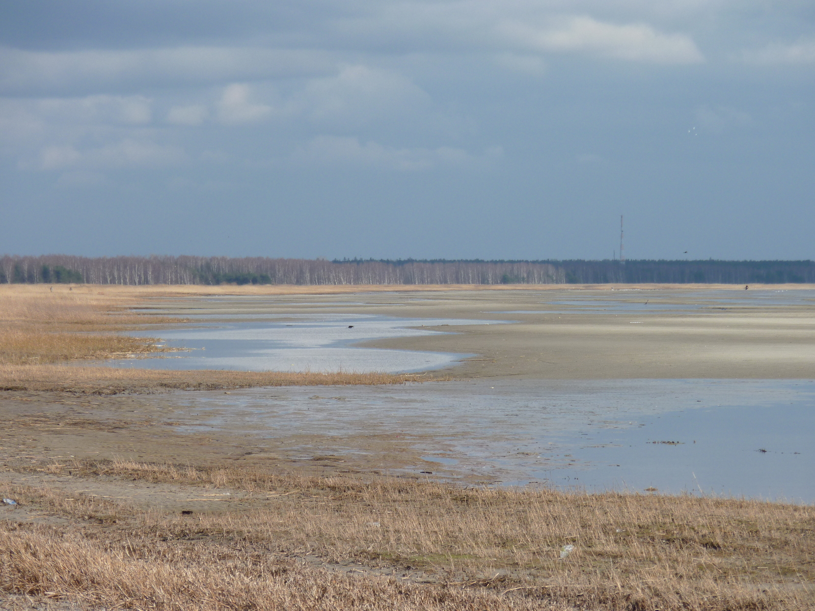 รูปถ่าย เอสโตเนีย(Estonia) แพร์นู(Parnu) 2009-04 4
