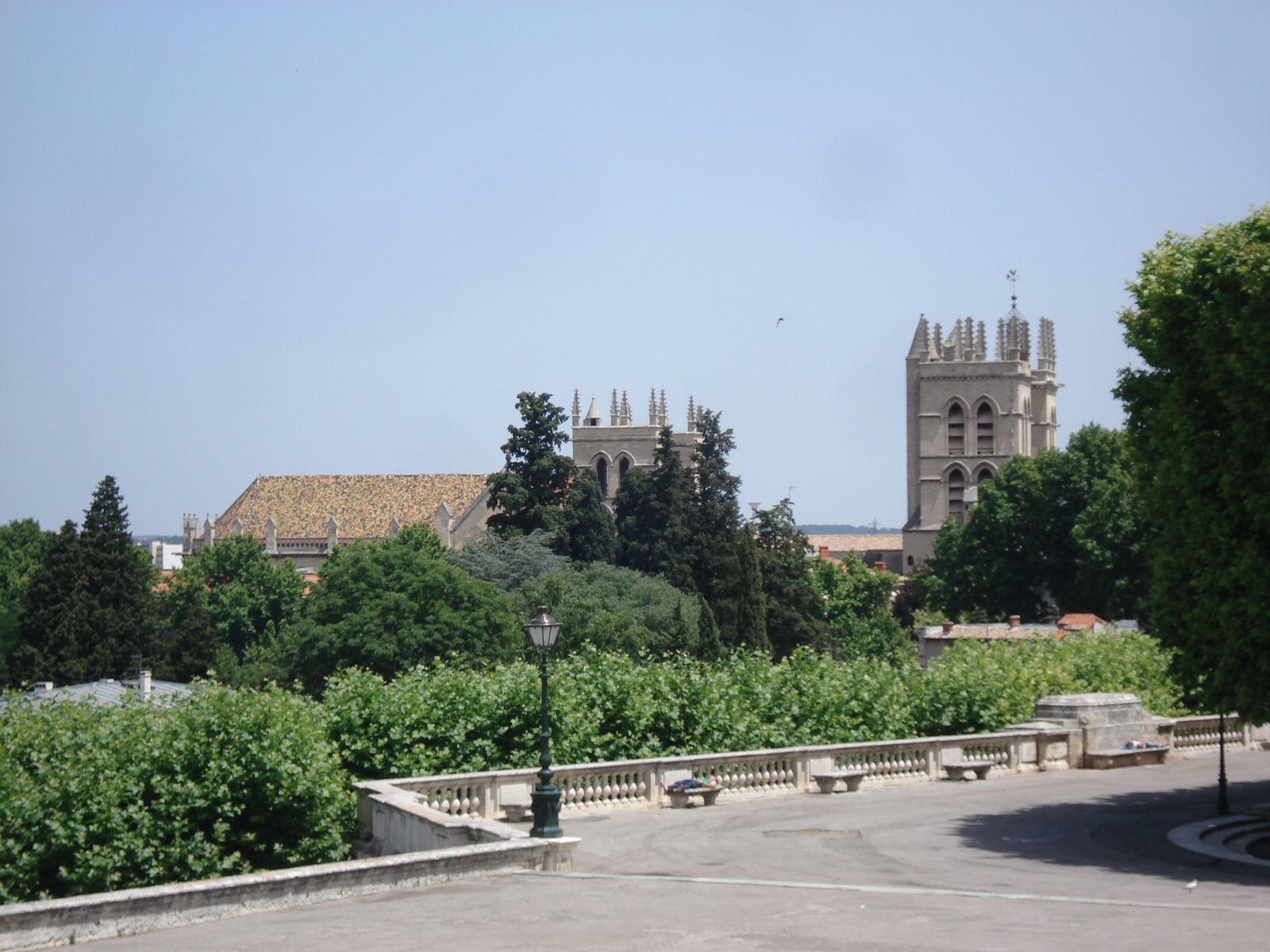 รูปถ่าย ฝรั่งเศส(France) มงเปลลีเยร์(Montpellier) 2006-06 79